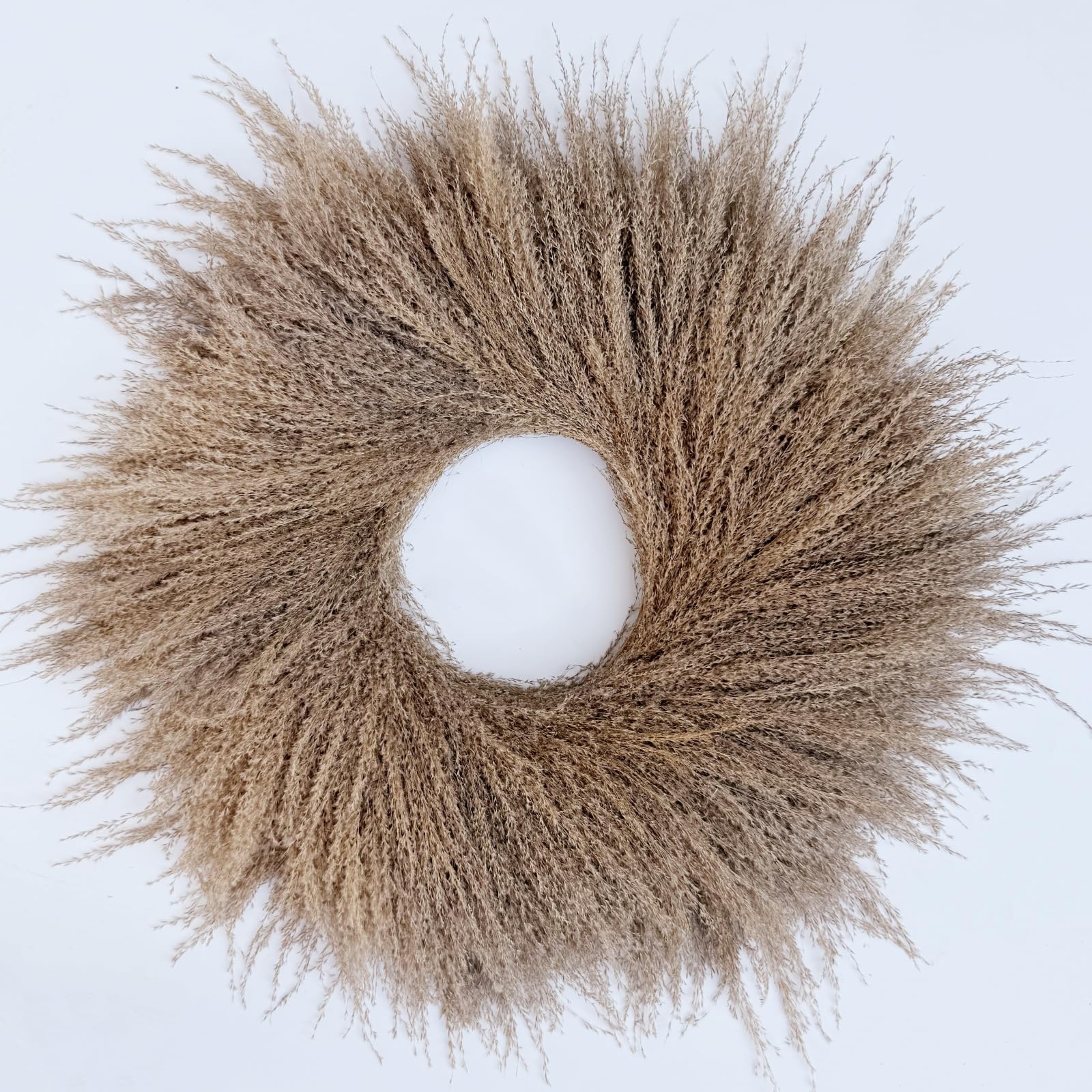 ＊daffy&stella＊　ローズとパンパグラスのナチュラルリース daffy&stella＊ ローズとパンパグラスのナチュラルリース 楽天