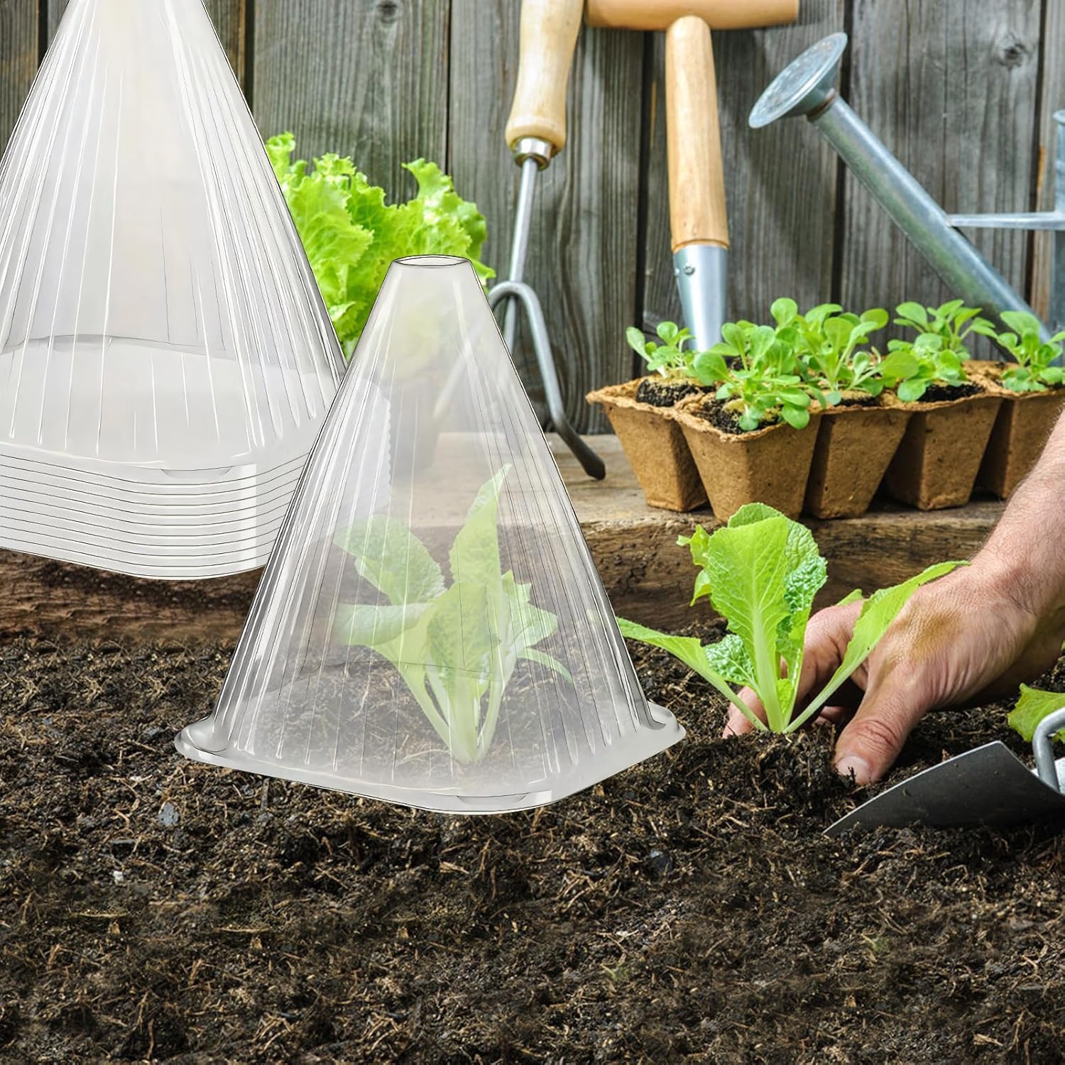 KAHEIGN 20 Pièces Cloches pour Plantes de Jardin 22CM x 19CM Plastique Protection Contre Gel