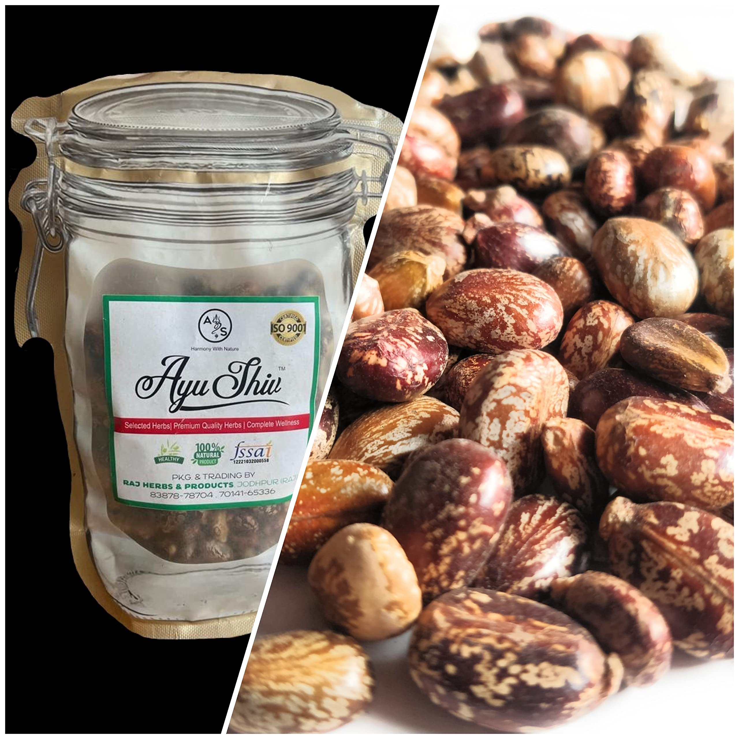 Ayushiv ARANDI BEEJ (RICINUS COMMUNIS) - CASTOR SEEDS - BEEJ ARANDI - ERAND SEEDS - RED CASTOR SEEDS (400 GM) (B0B49XQGFT) Amazon Price History, Amazon Price Tracker