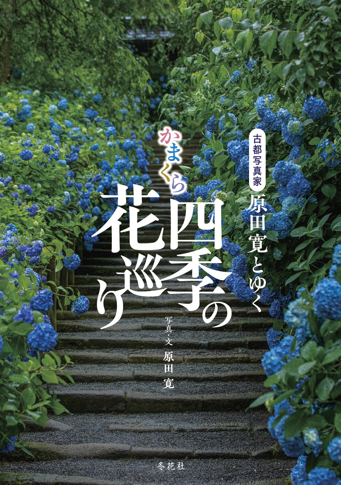 Amazon.co.jp: かまくら 四季の花巡り : 原田寛: 本