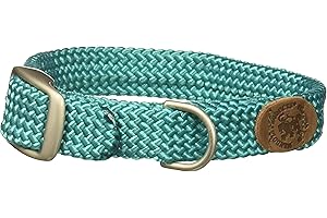 Mendota Dog Double Braid Collar: A Braided Beauty for Your Pup