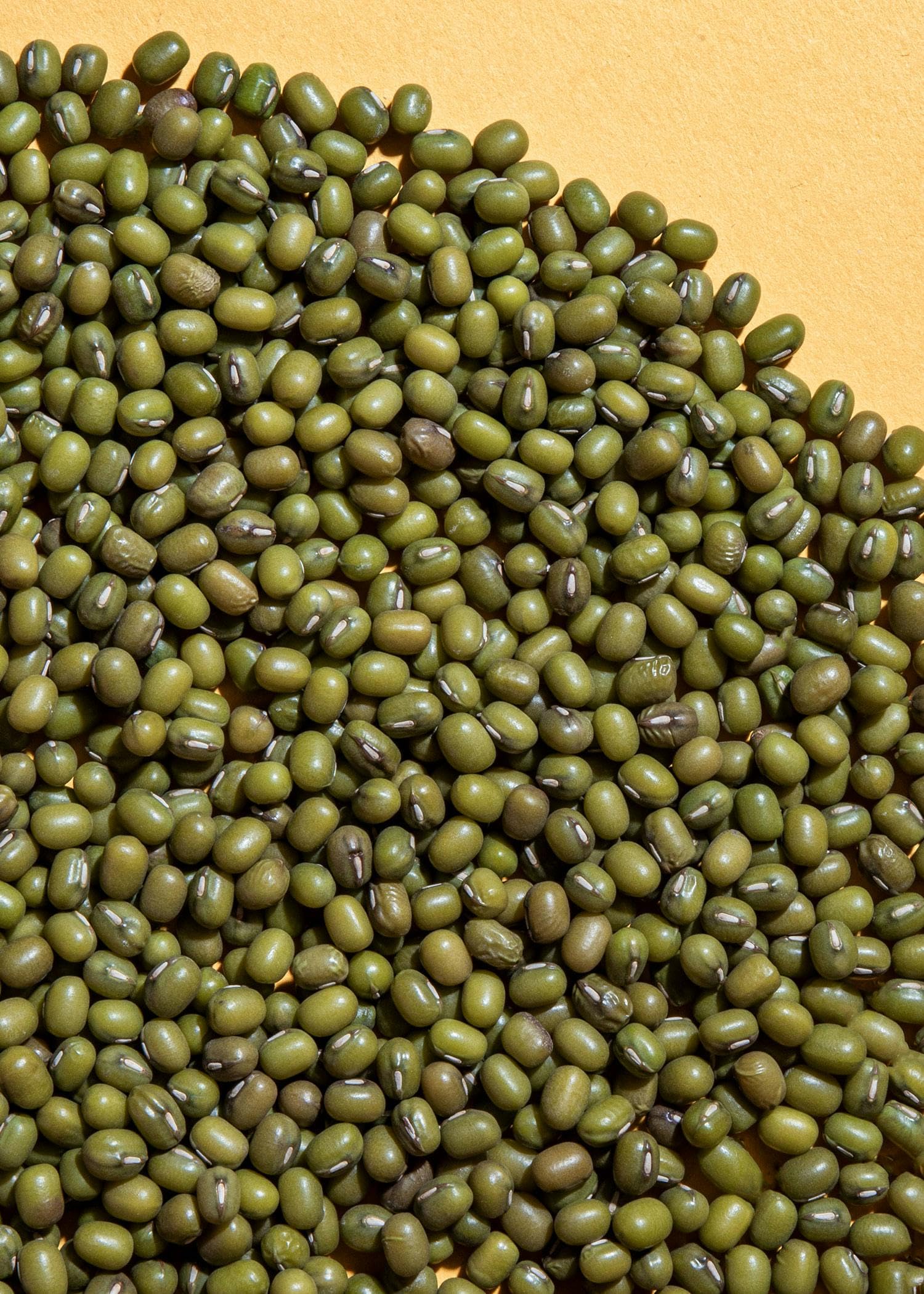 KoRo - Fagioli mung bio 2 kg - Legumi ricchi di proteine da coltivazione biologica in confezione risparmio