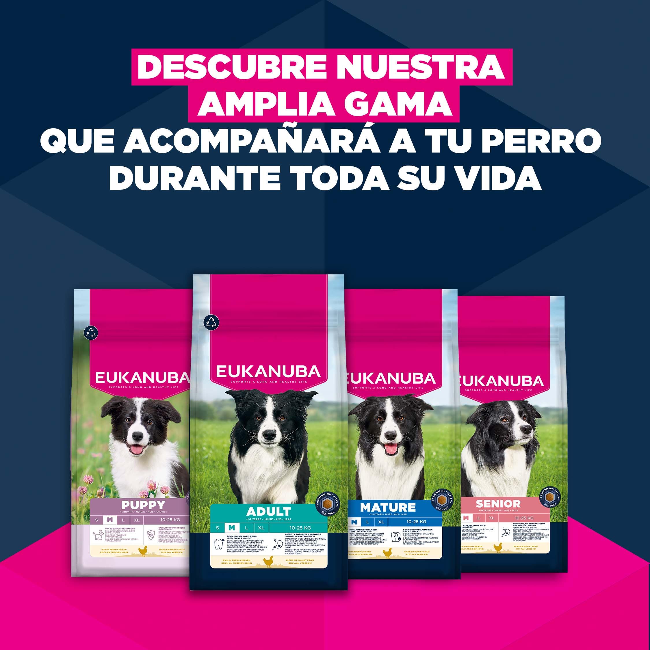 Eukanuba, alimento para Perros con Pollo Fresco para Razas Medianas - Alimento seco Premium para Perros Adultos, 15 kg