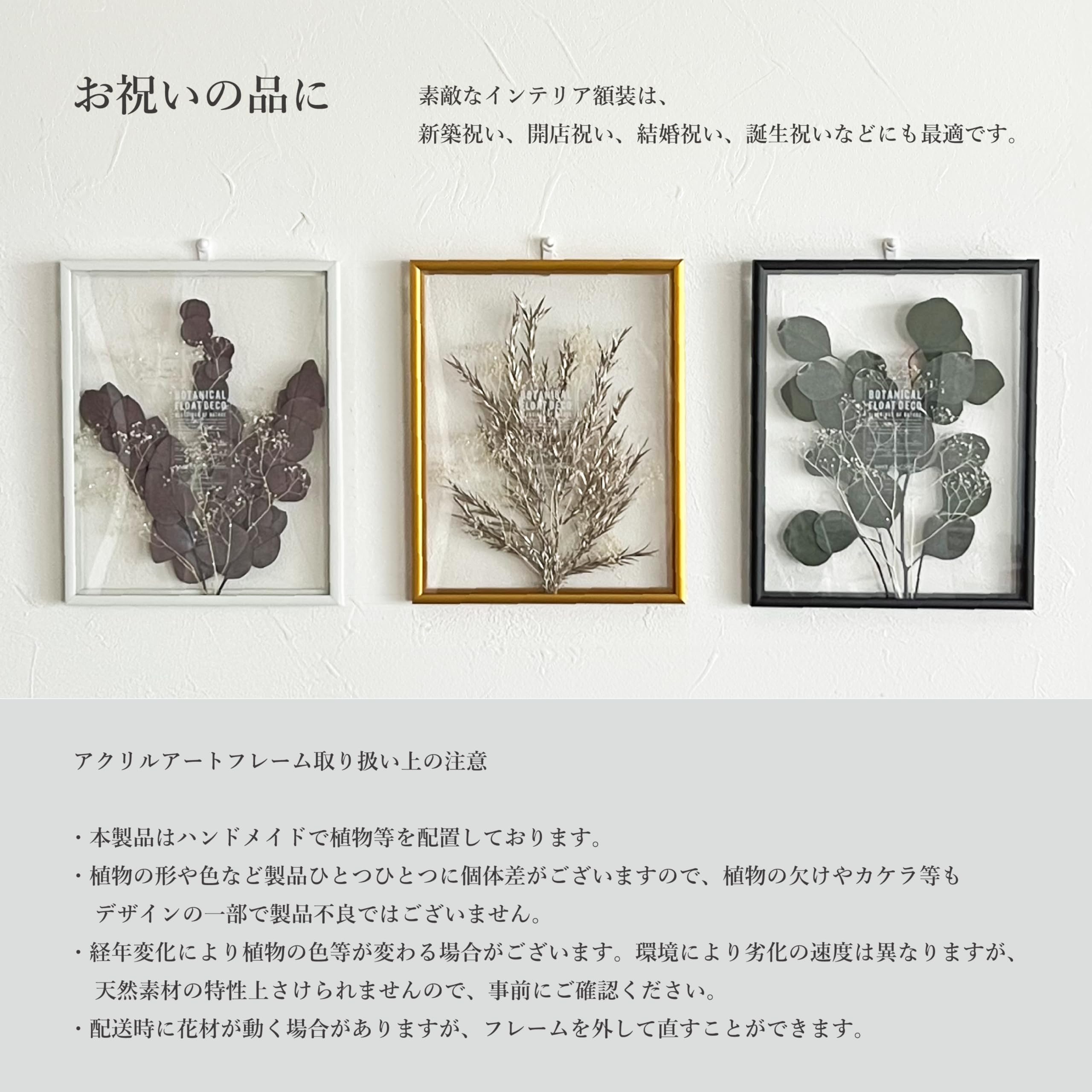 Amazon.co.jp: RingLeaf ボタニカル フロート額装 自然素材の