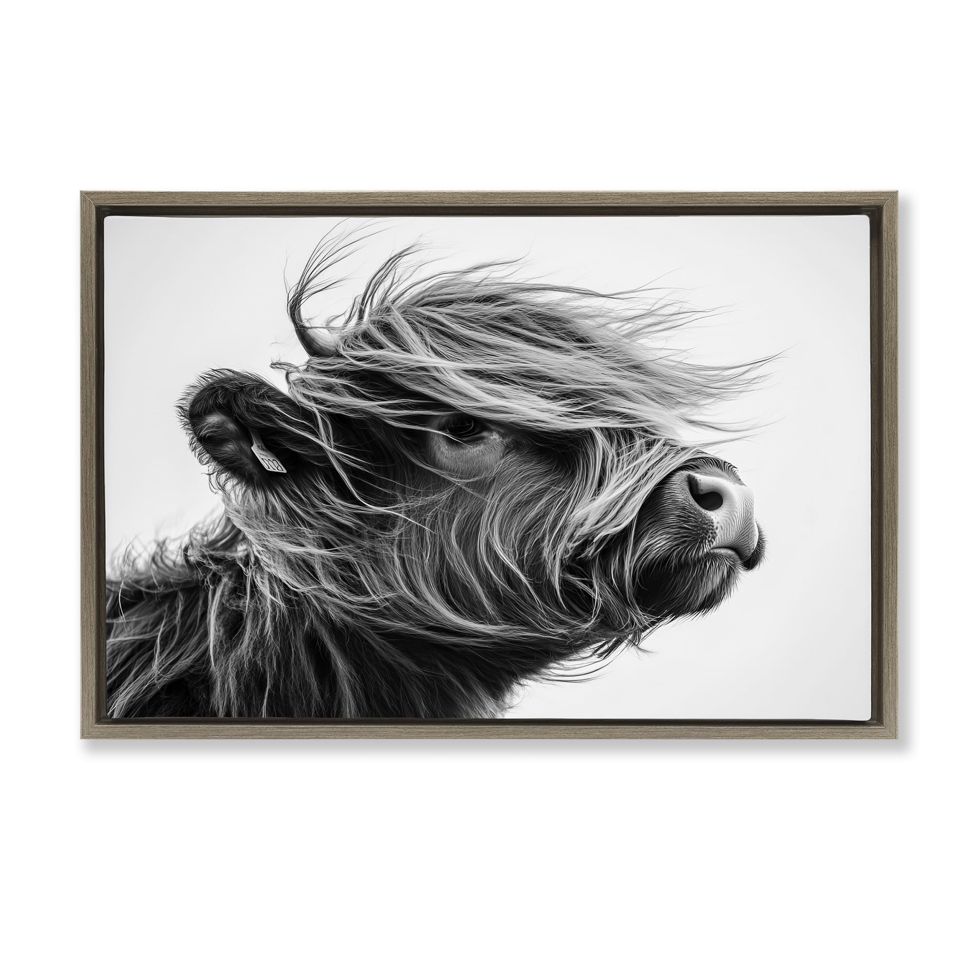 Stupell Industries 'Handsome Highland Portrait', Floating Frame Canvas Art, Brown, 31 x 21 Inches, Easy to Hang and Sturdy, Made in USA, by Tina LeCour