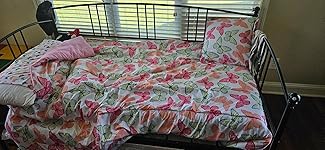 Review Image by Shenita Hernandez Shenita Hernandez