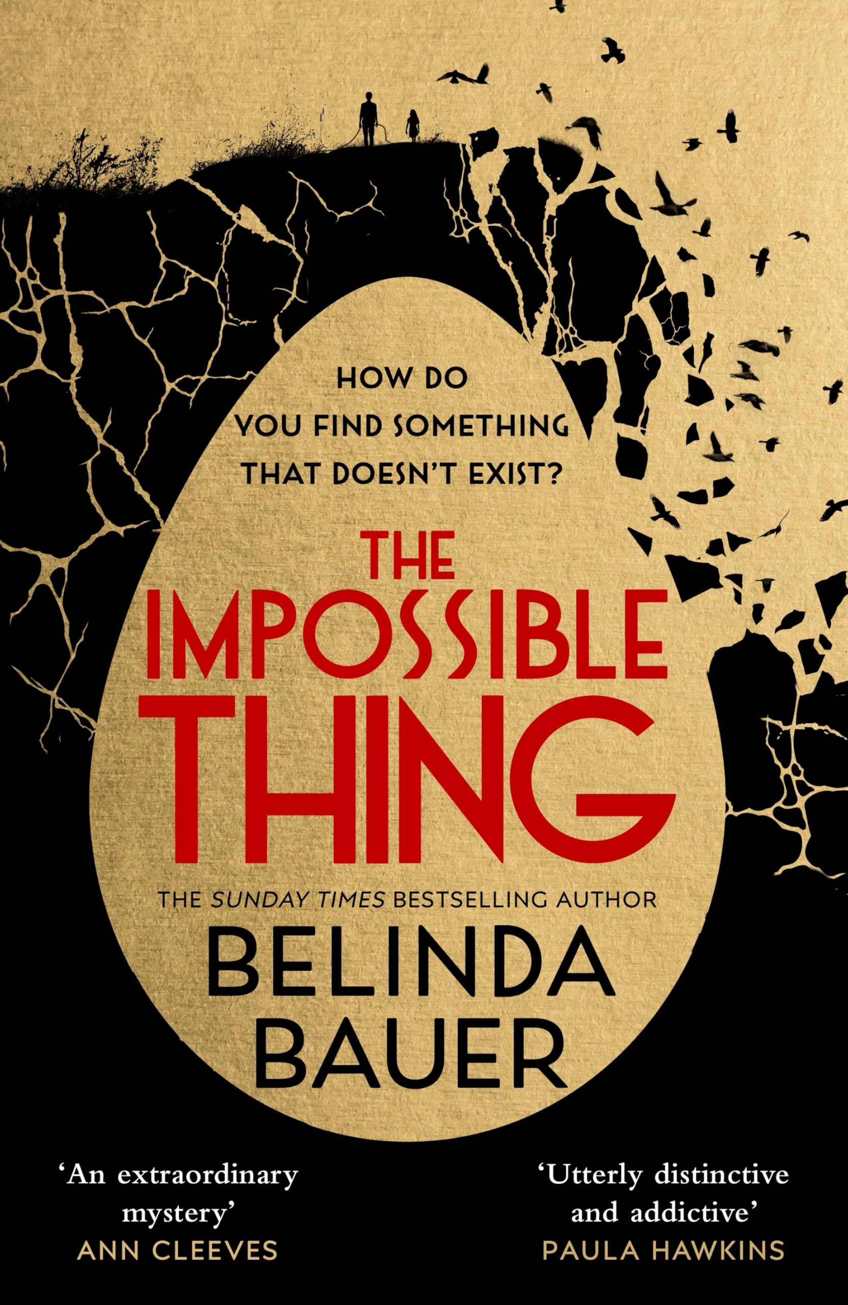 The Impossible Thing by Belinda Bauer HARDBACK 9781787630970