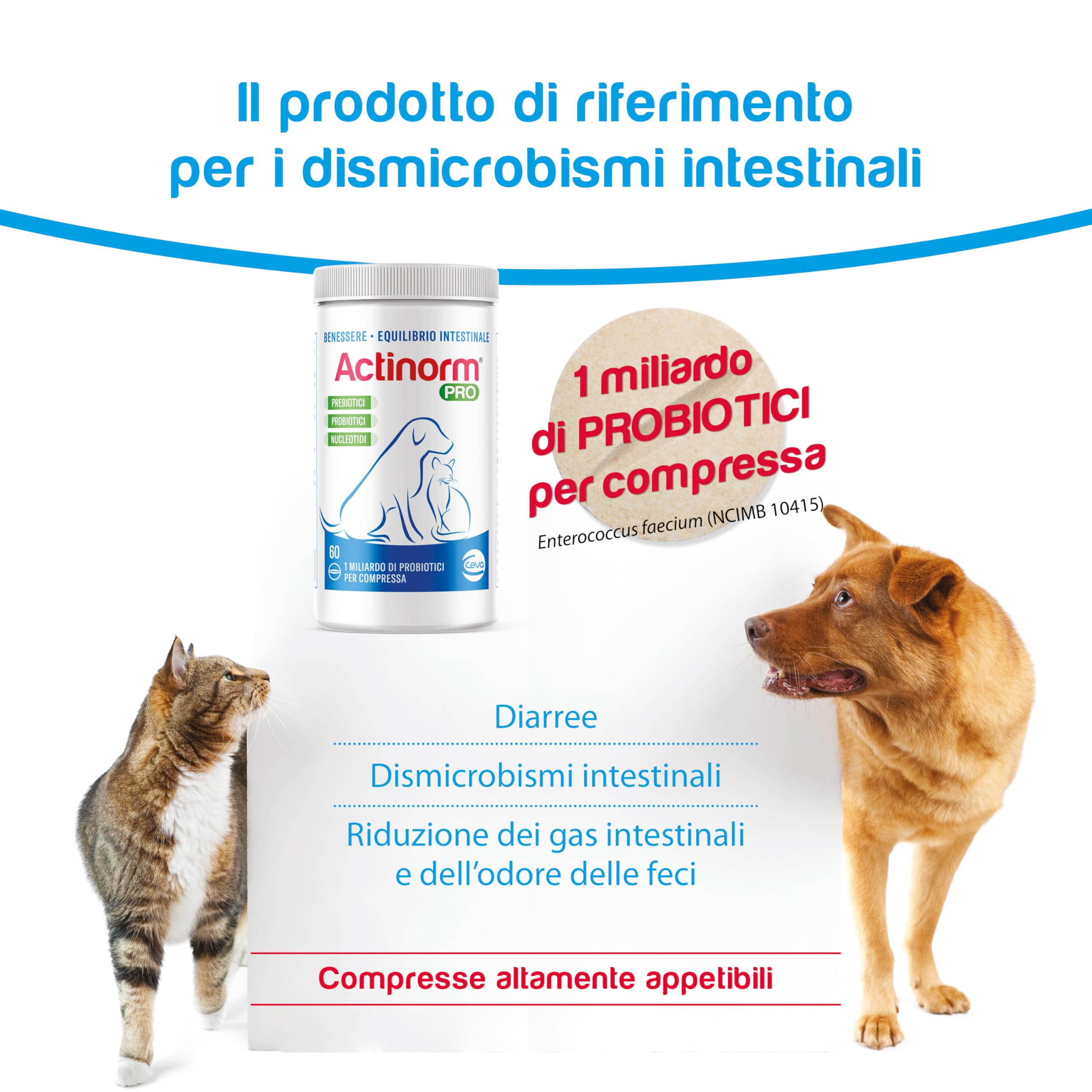Ceva Salute Animale Actinorm Plus Cani/Gatti 90Cpr