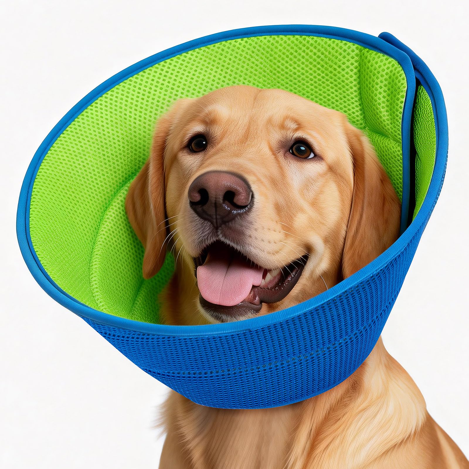 Photo 1 of Dog Cone Collar Soft Cone for Dogs Dirt-Resistant and Washable Soft Dog Elizabethan Collars for Small Large Medium Dogs After Surgery Recovery CollarsM(Neck: 11.8-13.8")