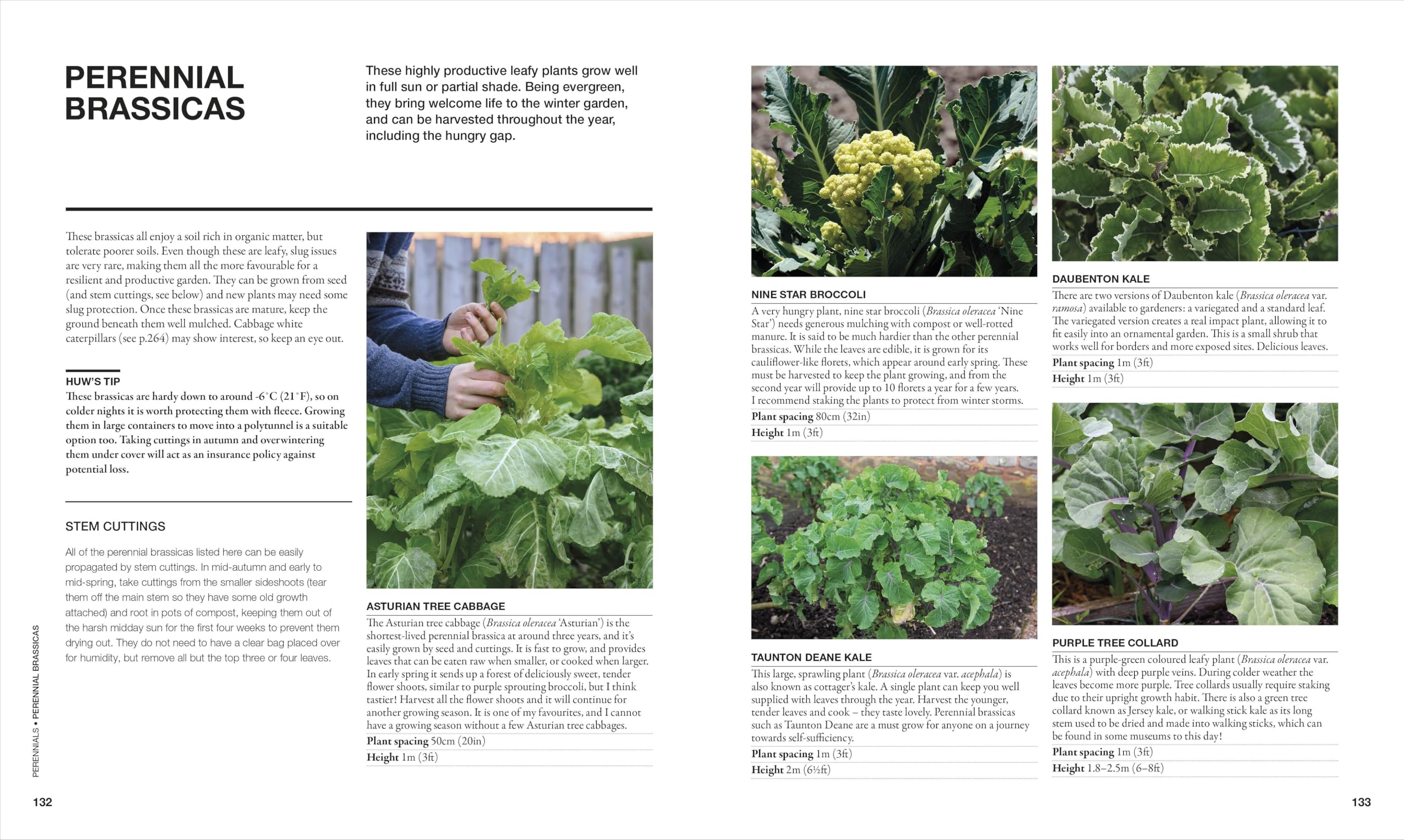 The Permaculture Garden: A Practical Approach to Year-round Harvests