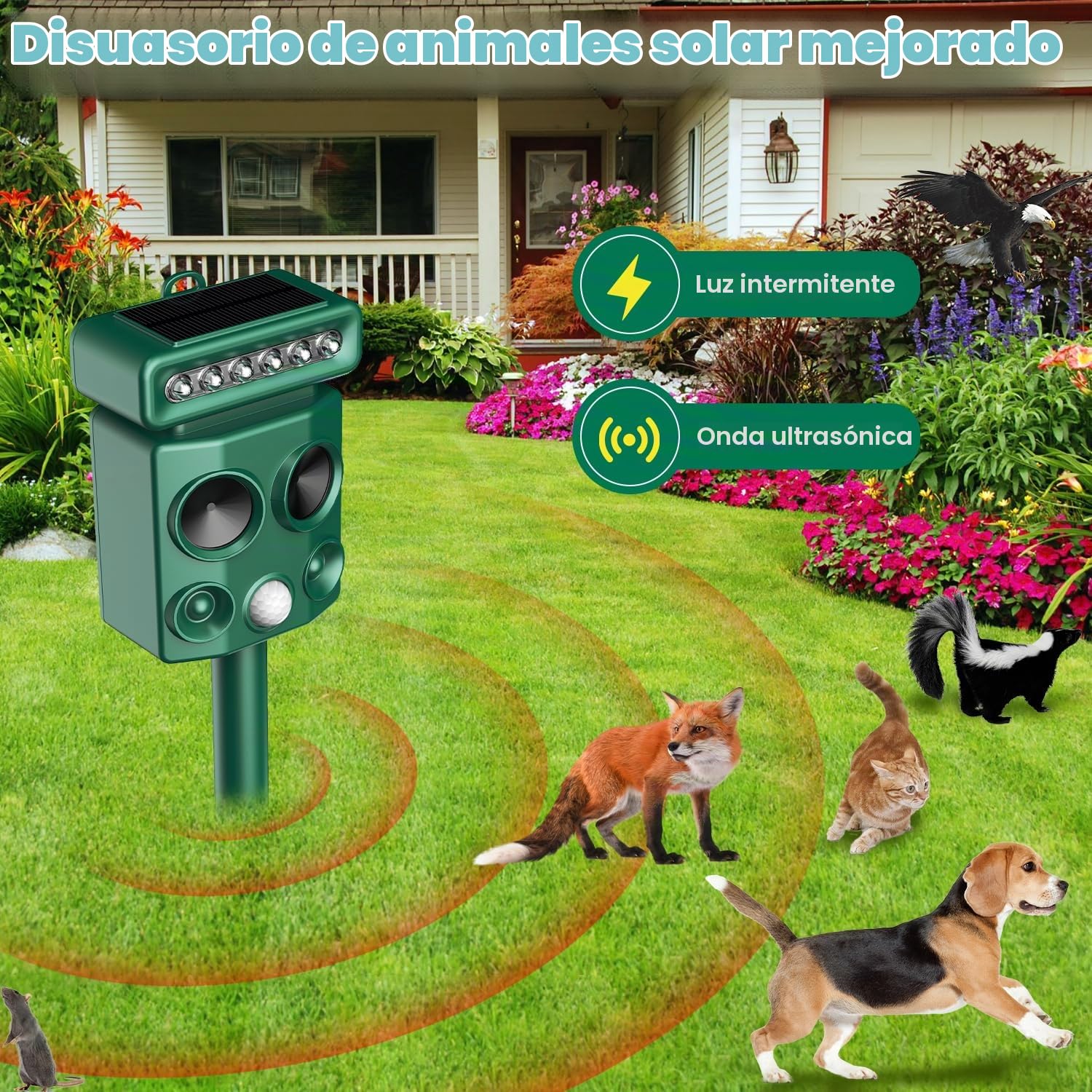 Repelente para Gatos, Ahuyentador de pájaros, IP65 Impermeable, disuasión Solar ultrasónico, Ahuyentador de Ratas con LED Intermitentes, Perros, Ratones, Zorros