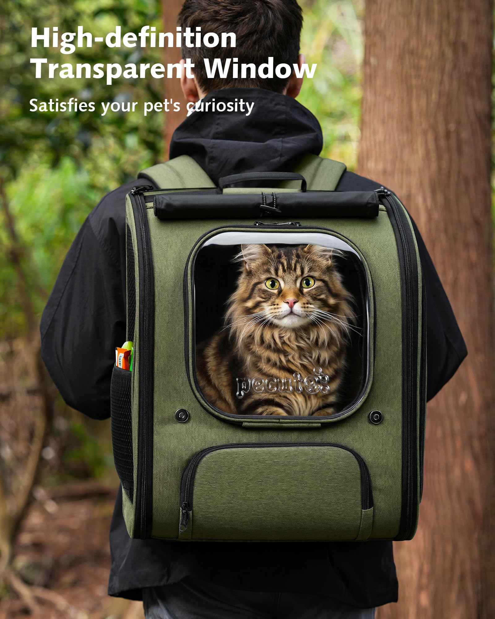 https://m.media-amazon.com/images/I/81yI0rYoE0L.jpg