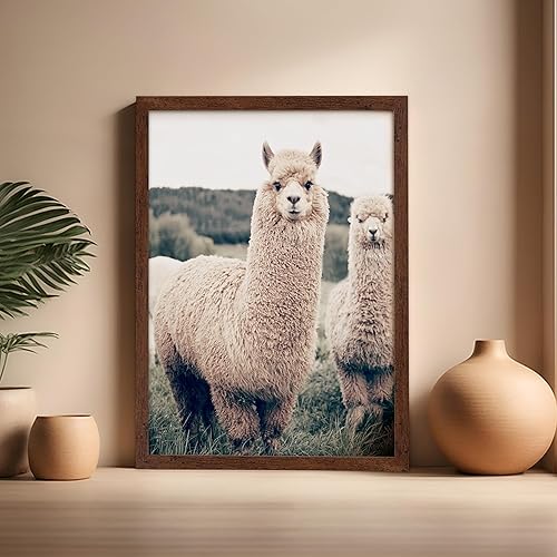 Vista 127 de Poster Master Póster de alpaca – Impresión de alpacas en pastizales – Arte de fotografía – Regalo para hombres, mujeres y amantes de los animales