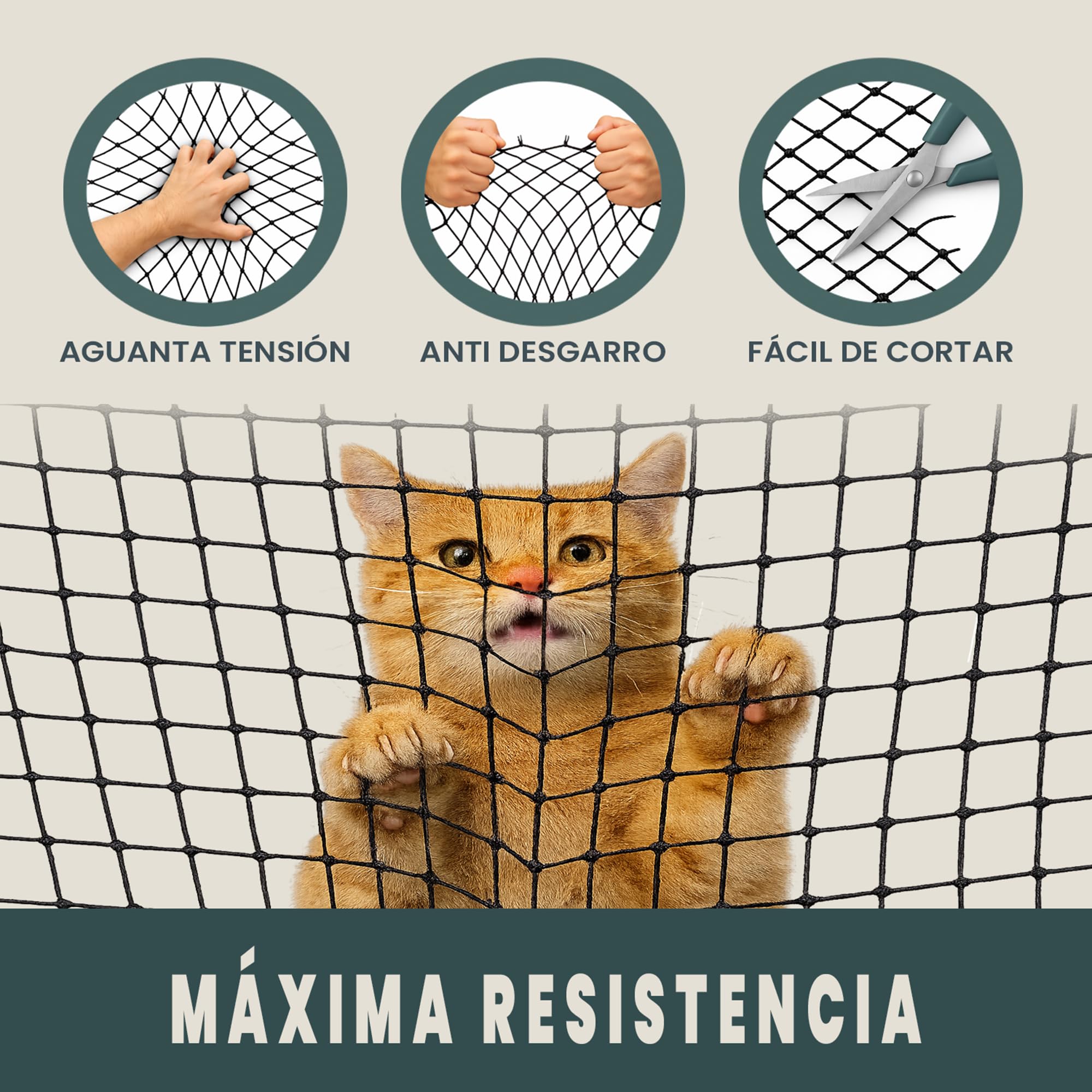 Red Para Gatos 8x3m Seguridad Reforzada Ideal Balcón Ventana Terraza Protección Exterior Interior Malla Antidesgarro Duradera Montaje Kit Completo Ganchos Adhesivos Bridas Juguete Regalo (8x3 metros)