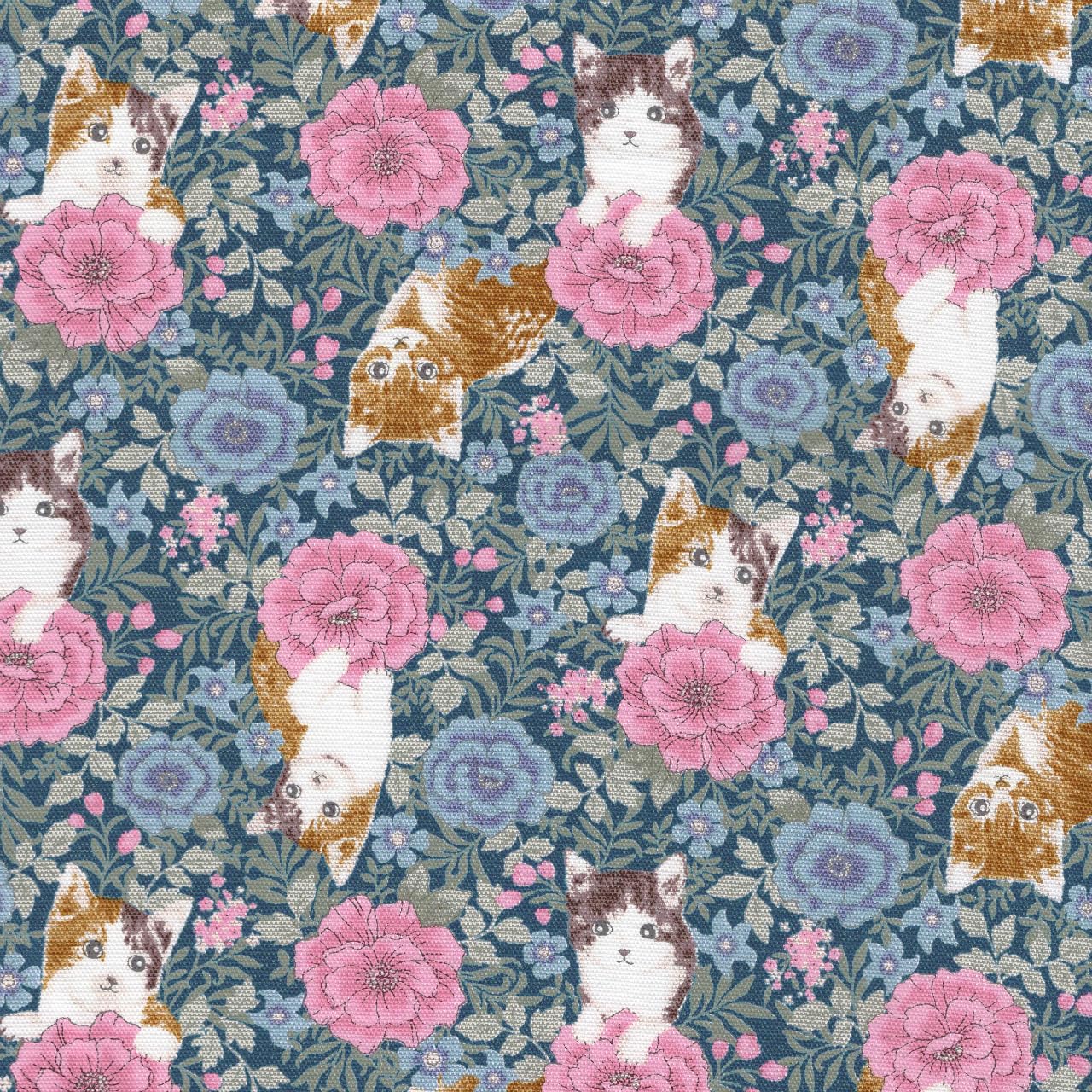 Amazon | 【FUWARI・染布 シリーズ オックス プリント】猫がお花