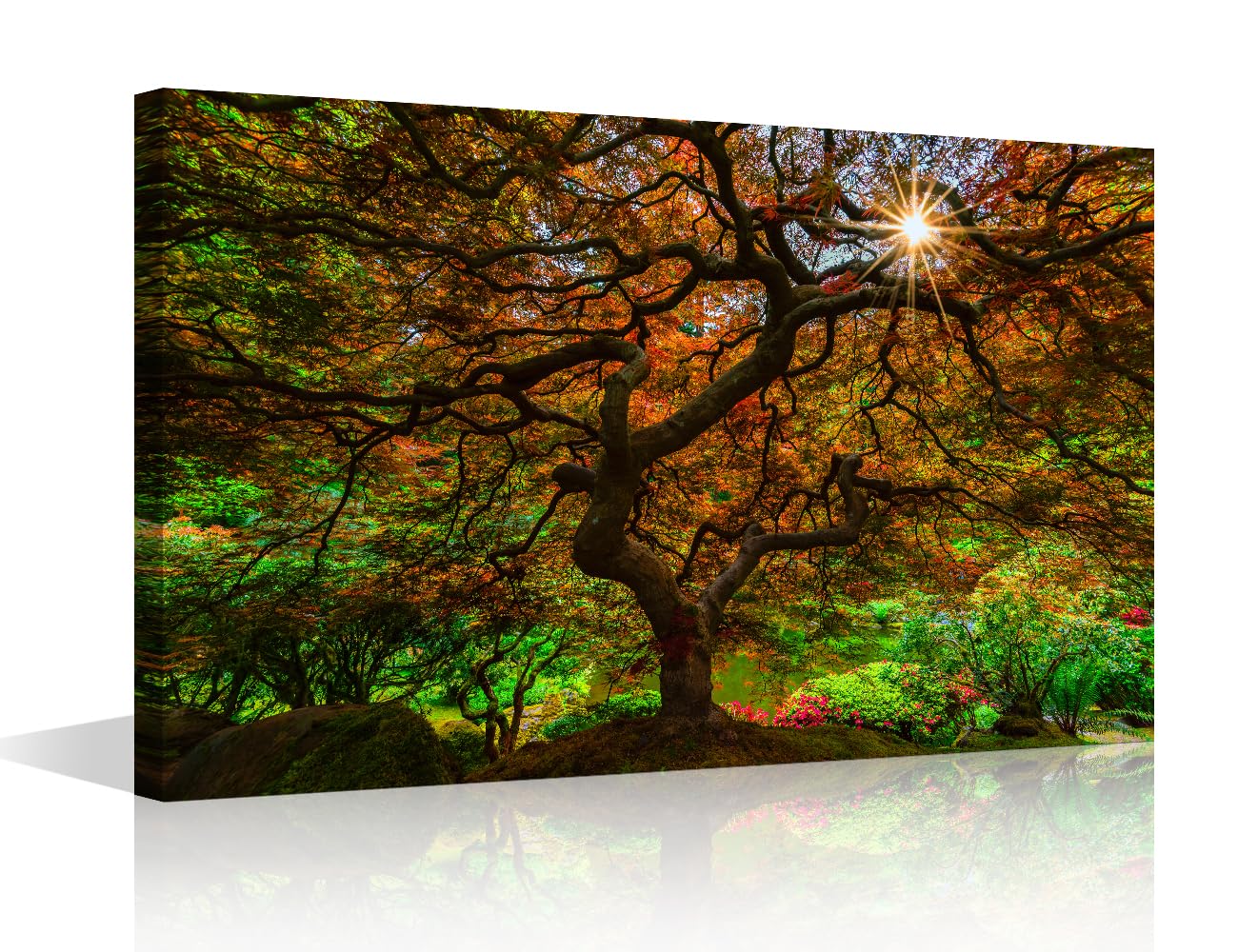 TISHIRON Maple Tree Wall Art for Living Room Washington Park Wall Decor Framed Wall Painting Portland Canvas Prints Pictures House Decoration for Bedroom Modern Artwork Office Wall Art, 18x12in โ image 1