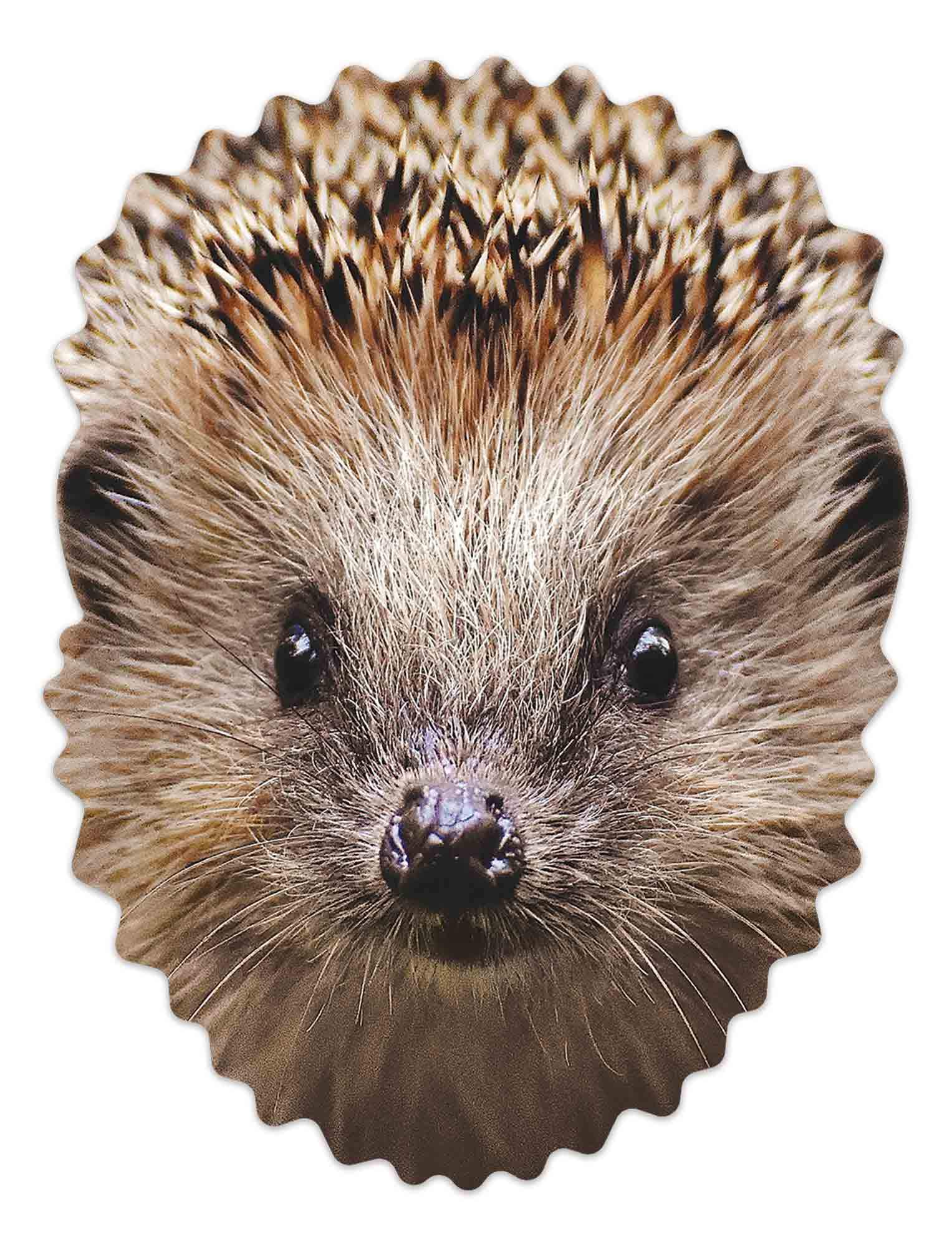 STAR CUTOUTS SM396 Hedgehog Animal Cardboard Face Mask – Woodland Costume Fancy Dress, Party Favour & Kids Dress Up Mask