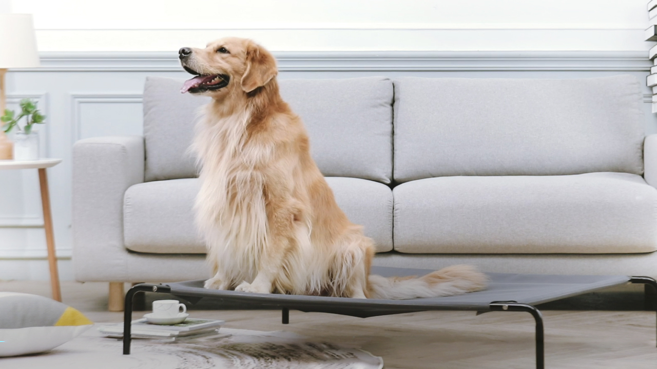 Elevated Dog Bed, Western Home Raised Dog Bed Cot for Large Medium Small Dogs, Portable Pet Cot for Indoor and Outdoor… - Image 8