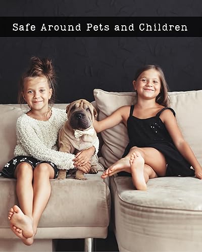 Miniatura 5 de Santal Perfume Roll On with Pure Organic Jojoba Oil, Alcohol Free, Eau de Toilette, Made in California 33