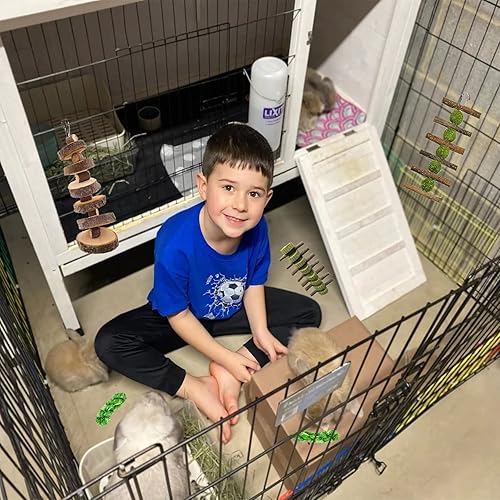 Miniatura 6 de 5 juguetes de conejo, conejo masticable para moler dientes, bola de heno Timothy colgante + palo de manzana + hierba de alfalfa pastel aperitivo