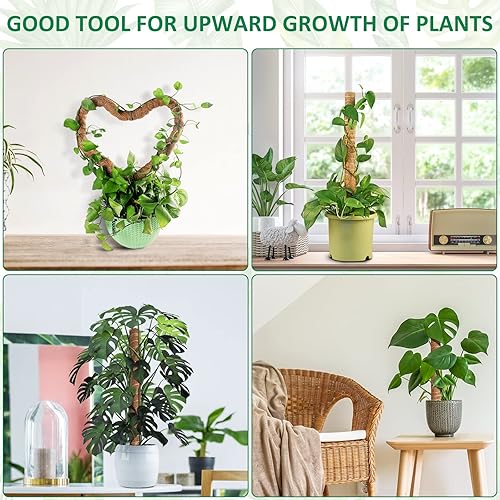 Miniatura 7 de JC-JDFMY11 Poste de musgo, poste de fibra de coco para soporte de plantas, 3 piezas de 59 pulgadas de soporte de palos de plantas flexibles, estacas