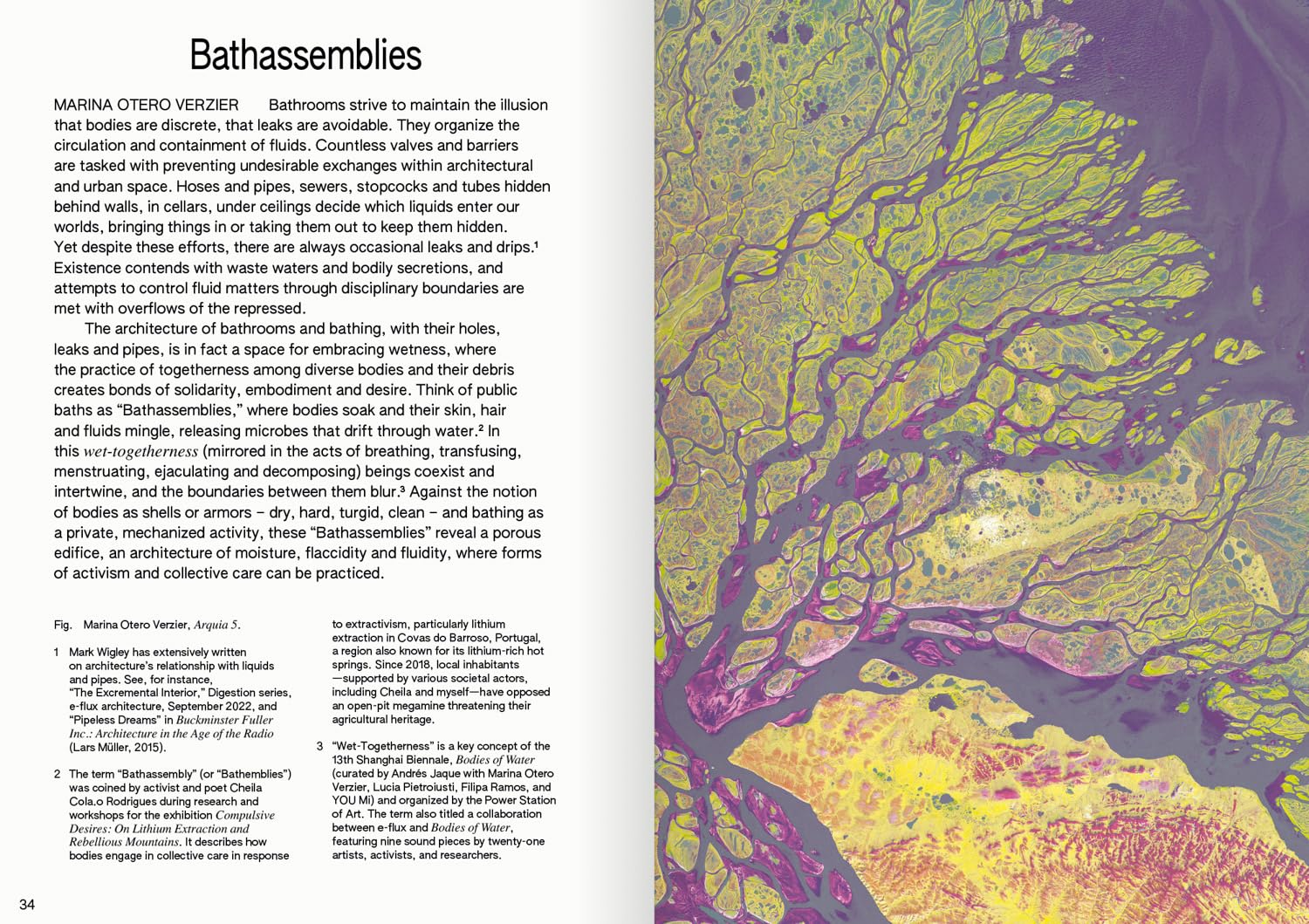 100 Words for Water /anglais: A Projective Ecosocial Vocabulary