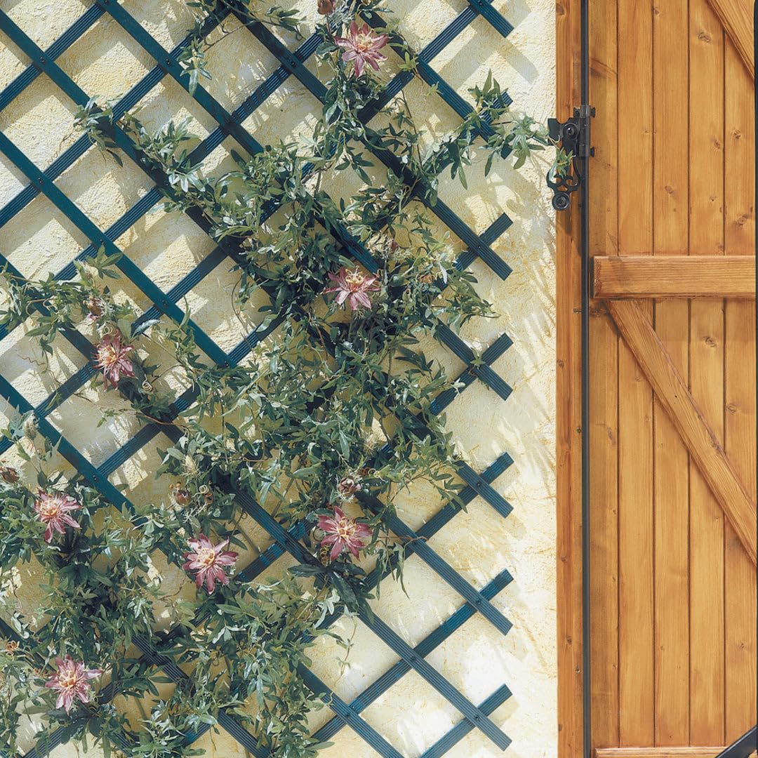 Nortene | Celosia Extensible PVC Trelliflex 1x3 M Verde | Decoración Exterior | Cerramientos Ambientes Modernos