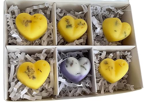 Spa Day Candleness Wax Melt - Spa Fragrance  Strong Aroma  Long Lasting  Soy Wax Hearts for Wax Warmer  Made in America  Plant Based Soy disponible en Yaxa Guatemala