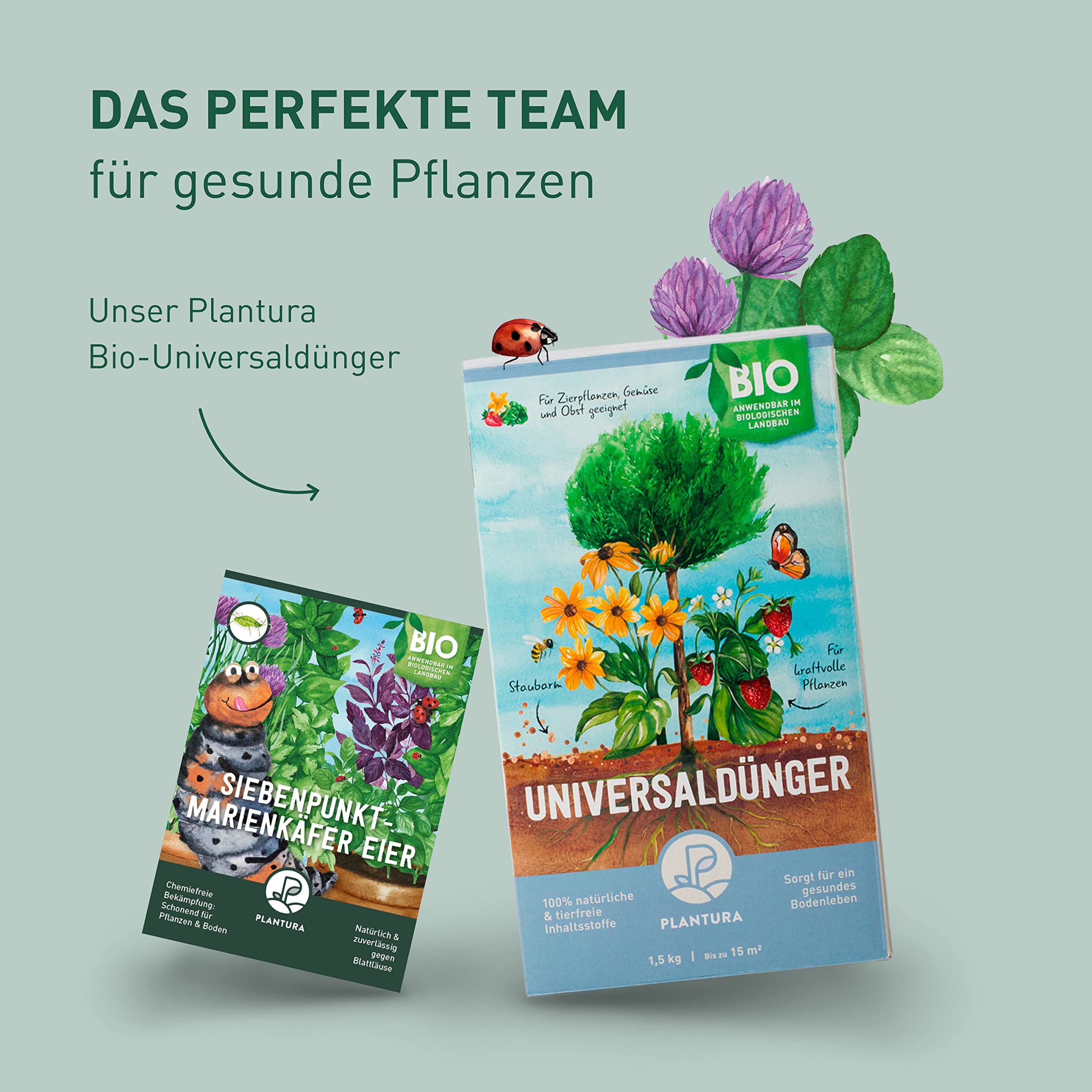 Plantura Siebenpunkt-Marienkäfer Eier gegen Blattläuse, wirksam & nachhaltig, 150 Nützlinge
