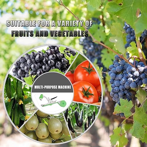 Miniatura 2 de Swetero Herramienta para atar plantas, pistola de cinta para plantas con 10000 grapas, 20 rollos de cinta y cuchilla de repuesto para uvas,