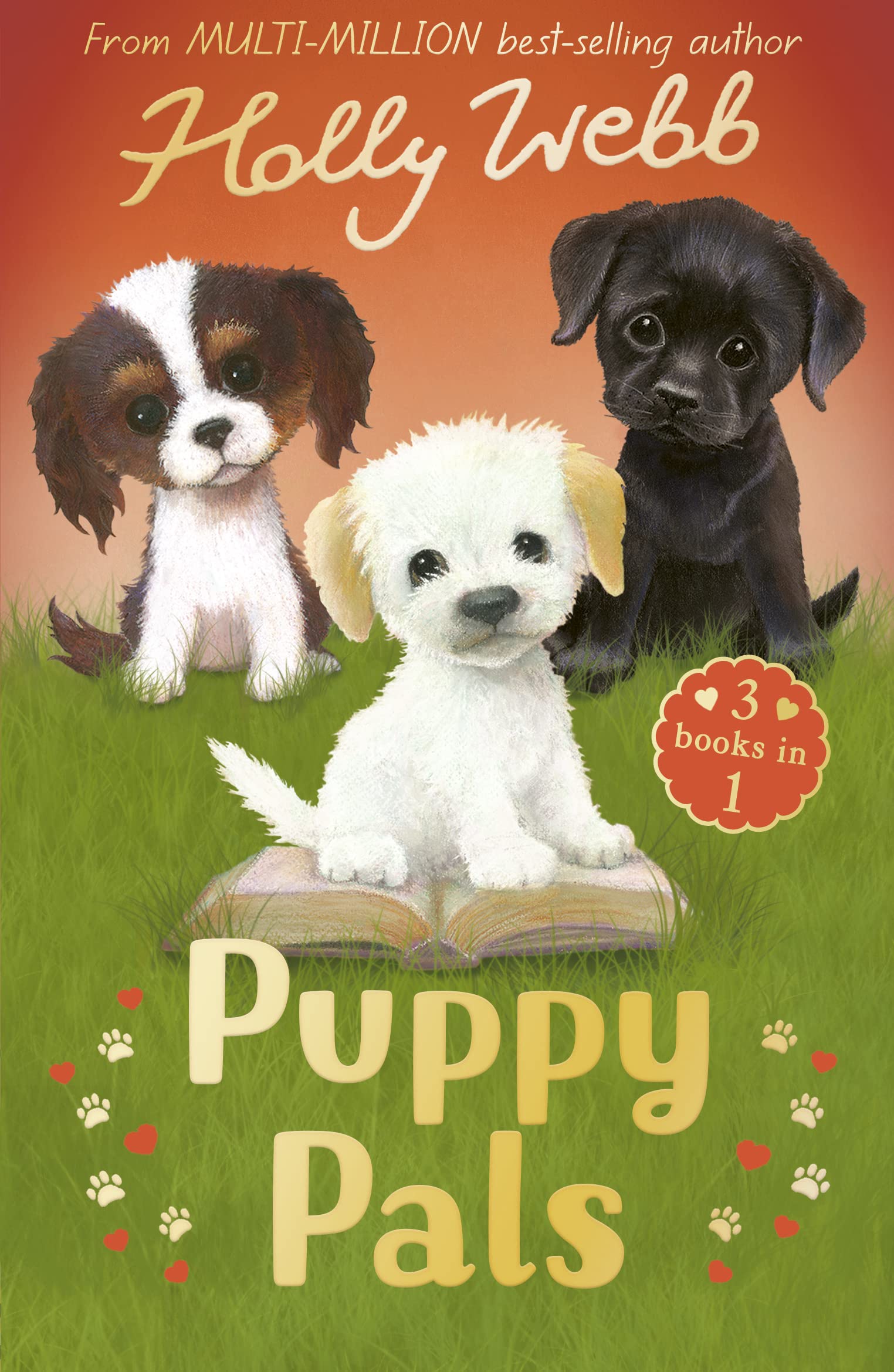 Puppy Pals: The Story Puppy, The Seaside Puppy, Monty the Sad Puppy (Holly Webb Animal Stories)