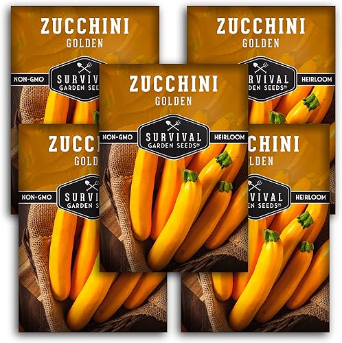Survival Garden Seeds - Semillas de calabacín dorado para plantar - 5 paquetes con instrucciones para plantar y cultivar verduras de calabacín