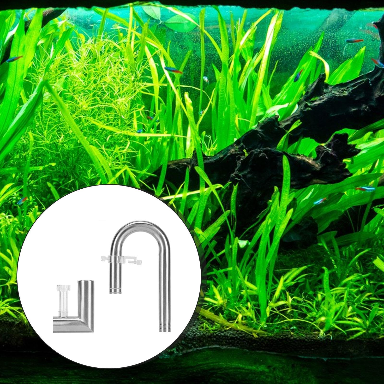 Tubo per Ninfee per Acquari, Rimozione della Pellicola Oleosa, Acquari Piantumati, Facile da Montare, Set di Scarico in Acciaio Inossidabile, Uscita D, 20 Uscita Rimuovere l'olio