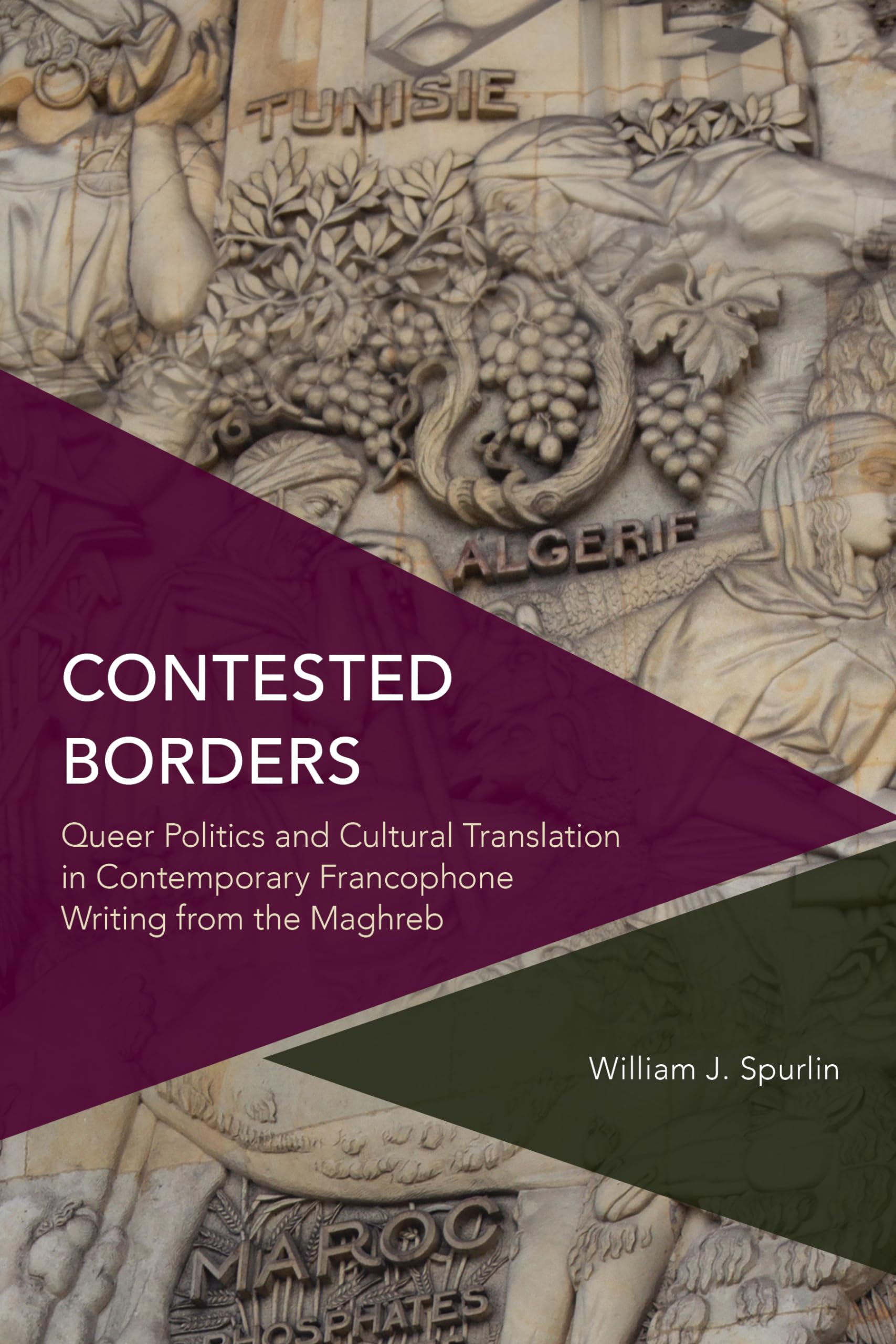 Buy Contested Borders: Queer Politics and Cultural Translation in Contemporary Francophone Writing from the Maghreb (Critical Perspectives on Theory, Culture and Politics) — BookShops.in