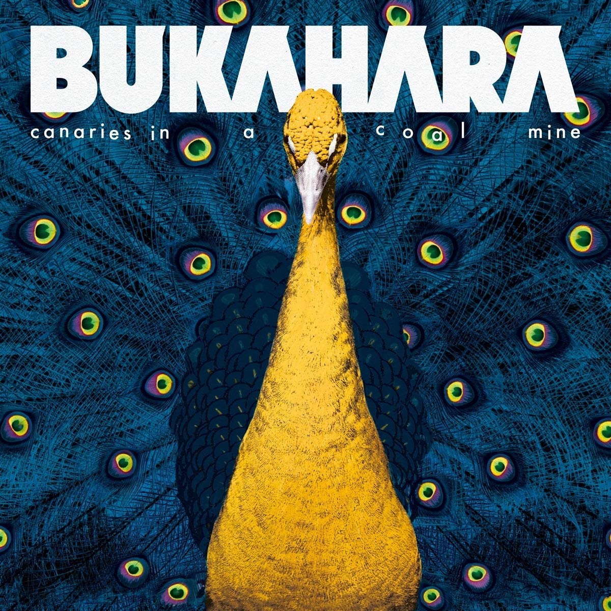 Canaries in a Coal Mine [VINYL]