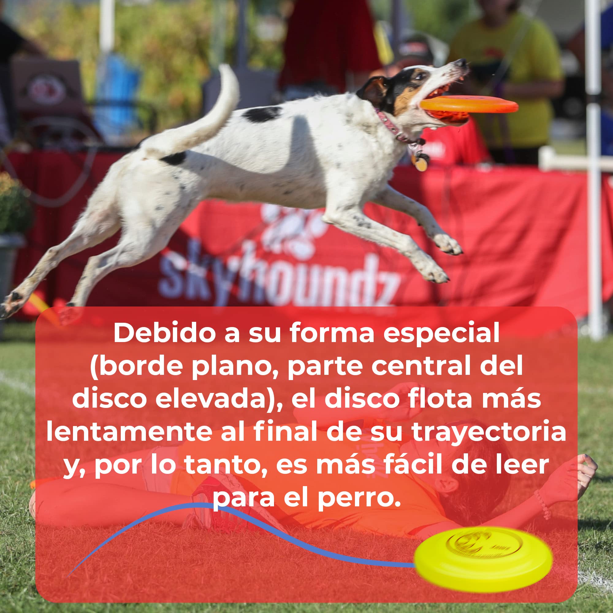 Hyperflite Disco Volador para perro masticable K10 Jawz Discdogging - amarillo
