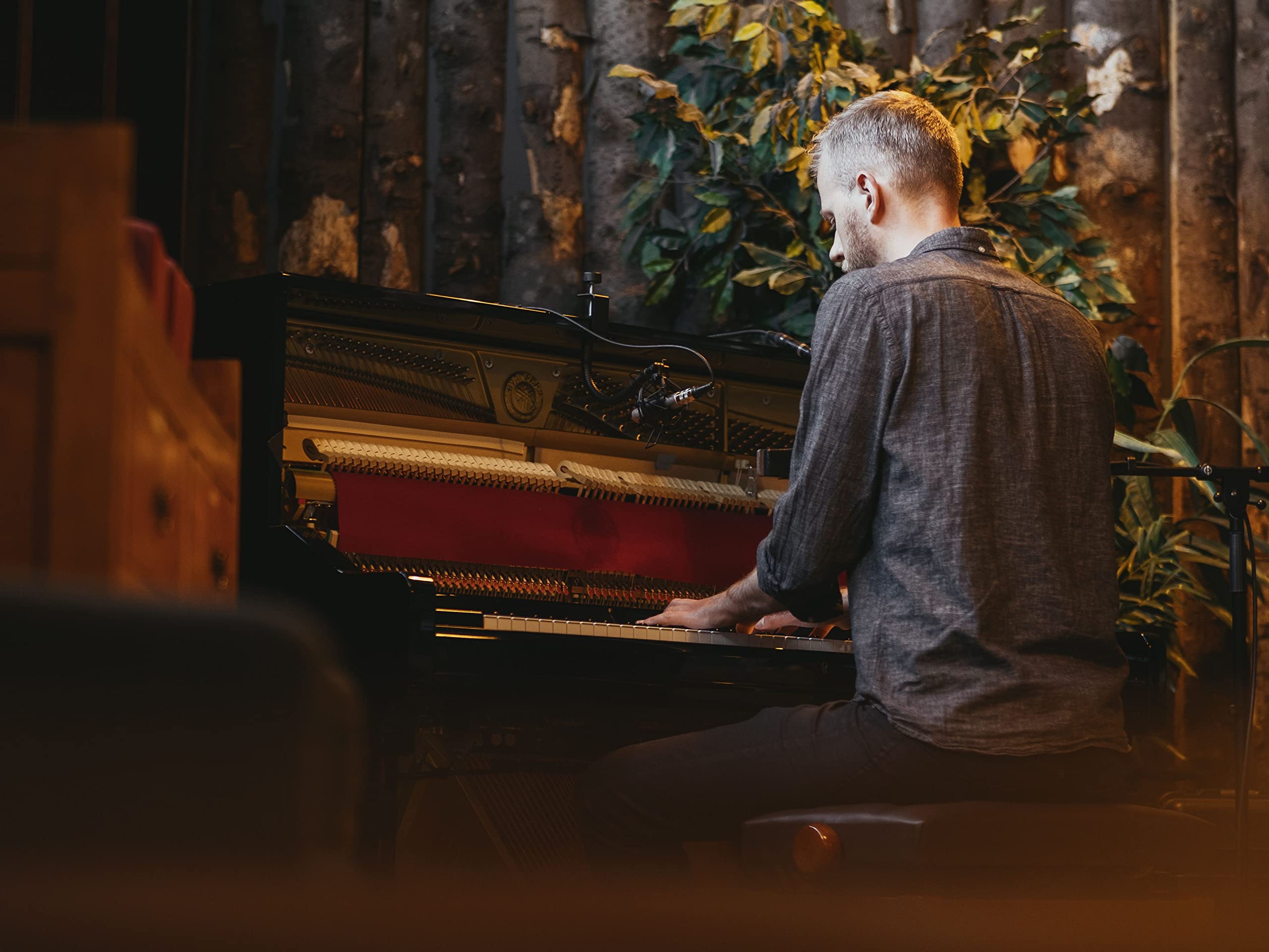 Snorri Hallgrímsson