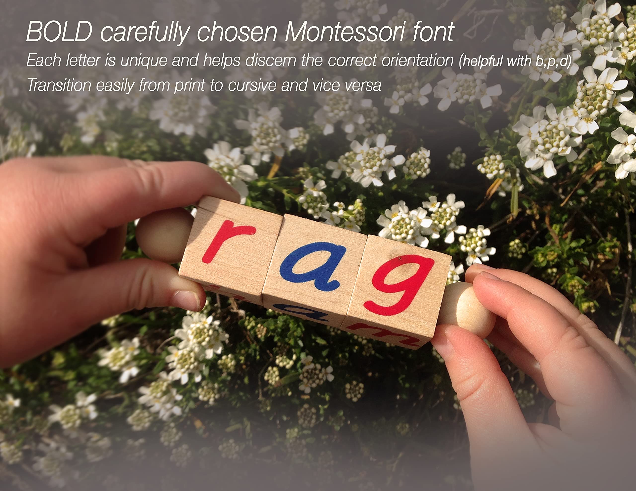 The Original Montessori Reading Blocks Educational CVC