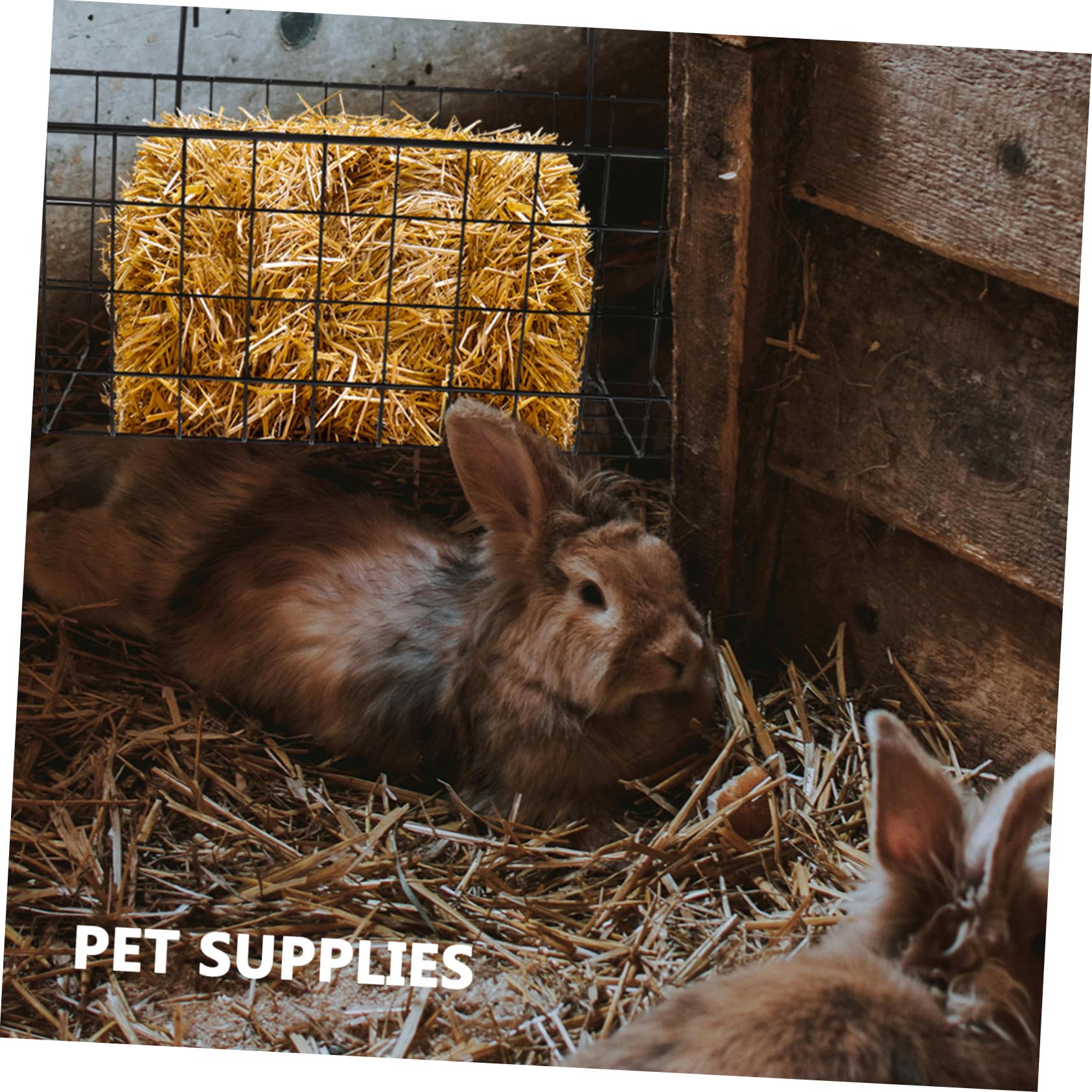 Heuraufe aus Eisen Waschbar und Leicht zu Reinigen Robuster Futterhalter für Kaninchen und Meerschweinchen für Kleintier Heufutter im Kaninchenstall