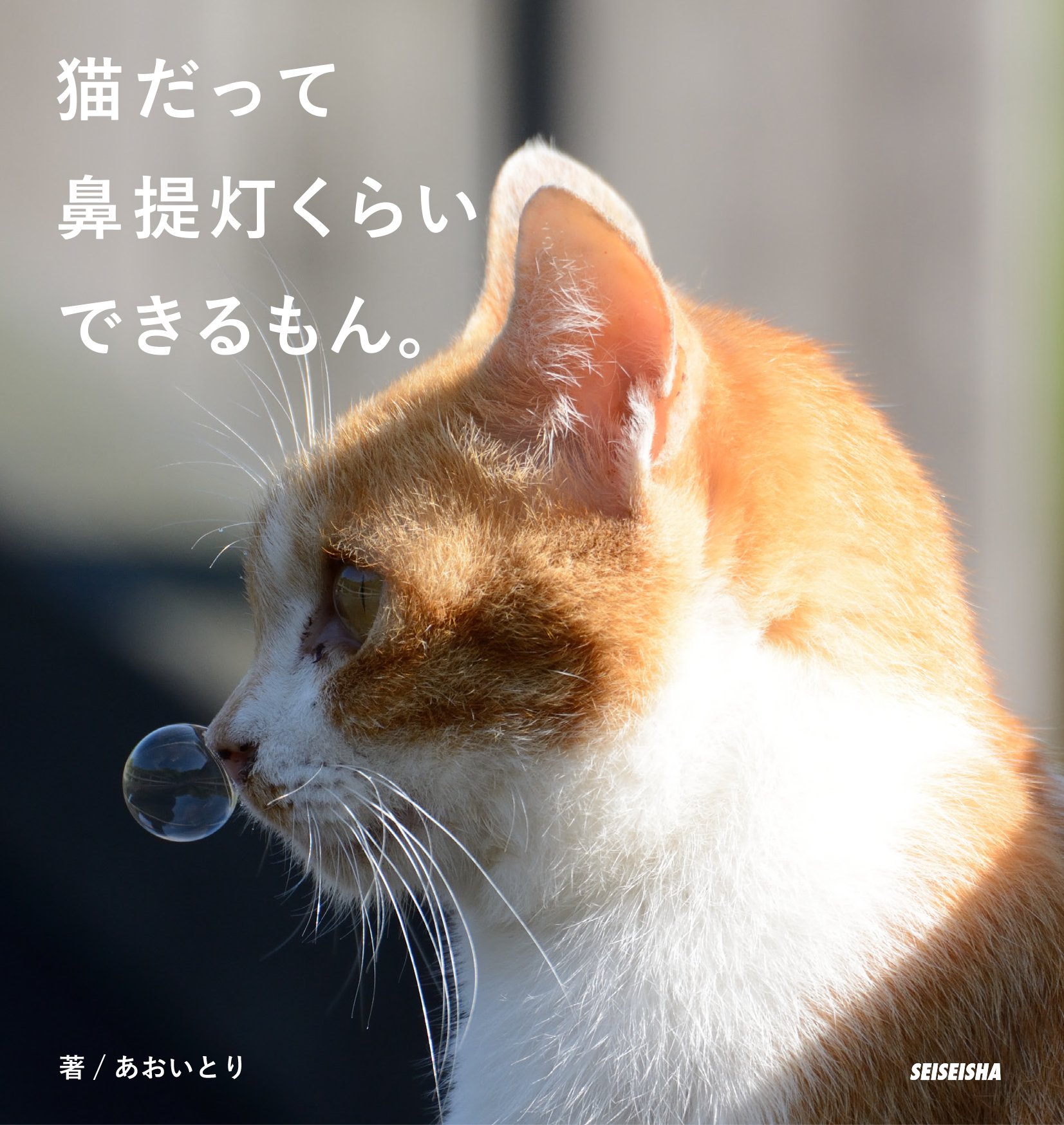 猫だって鼻提灯くらいできるもん。 | あおいとり |本 | 通販 | Amazon