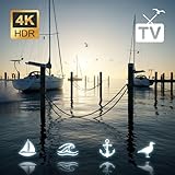 Sail Flap & Seagull Cry – Coastal Chill | 4K TV Background Video