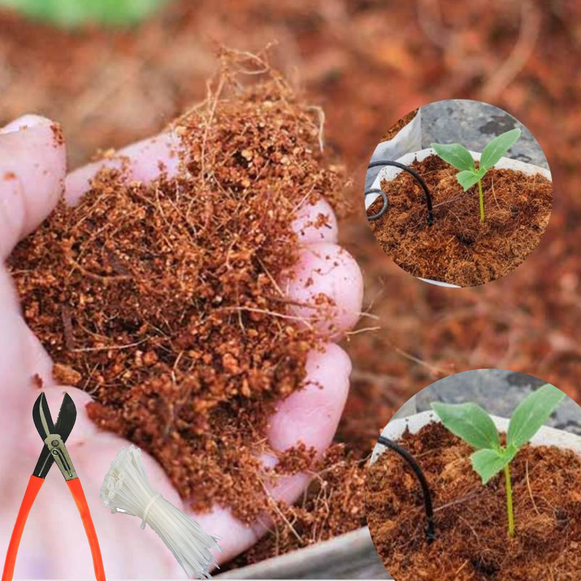 See full amazon price history chart for RED WIND 3 Kg Loose Cocopeat Powder_100% Organic_Eco-Friendly_Ready to Use for Indoor_Outdoor Plants_Home Gardening_Nurseries with A Cutter and 30 PVC Tags RWNCS3 RED WIND 3 Kg Loose Cocopeat Powder_100% Organic_Eco-Friendly_Ready to Use for Indoor_Outdoor Plants_Home Gardening_Nurseries with A Cutter and 30 PVC Tags RWNCS3 (B09QL1V846) Amazon Price History, Amazon Price Tracker