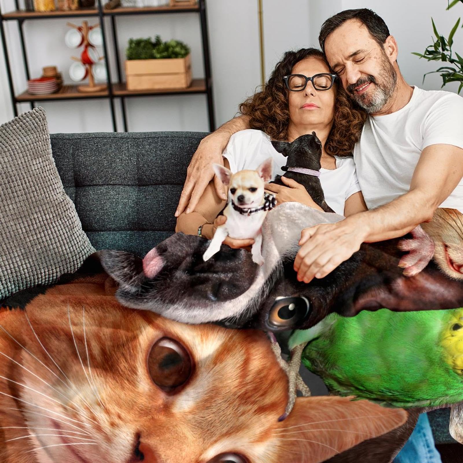 Couverture Polaire Chien Chat Hamster Couverture Microfibre Chaude Et Douce Jeté De Canapé Couverture 150×200cm