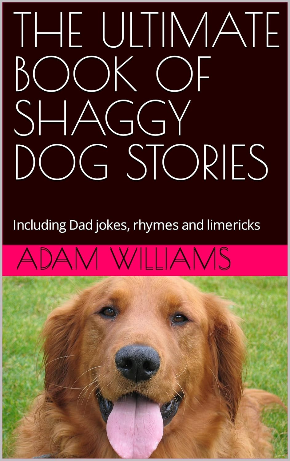 THE ULTIMATE BOOK OF SHAGGY DOG STORIES Including Dad jokes, rhymes