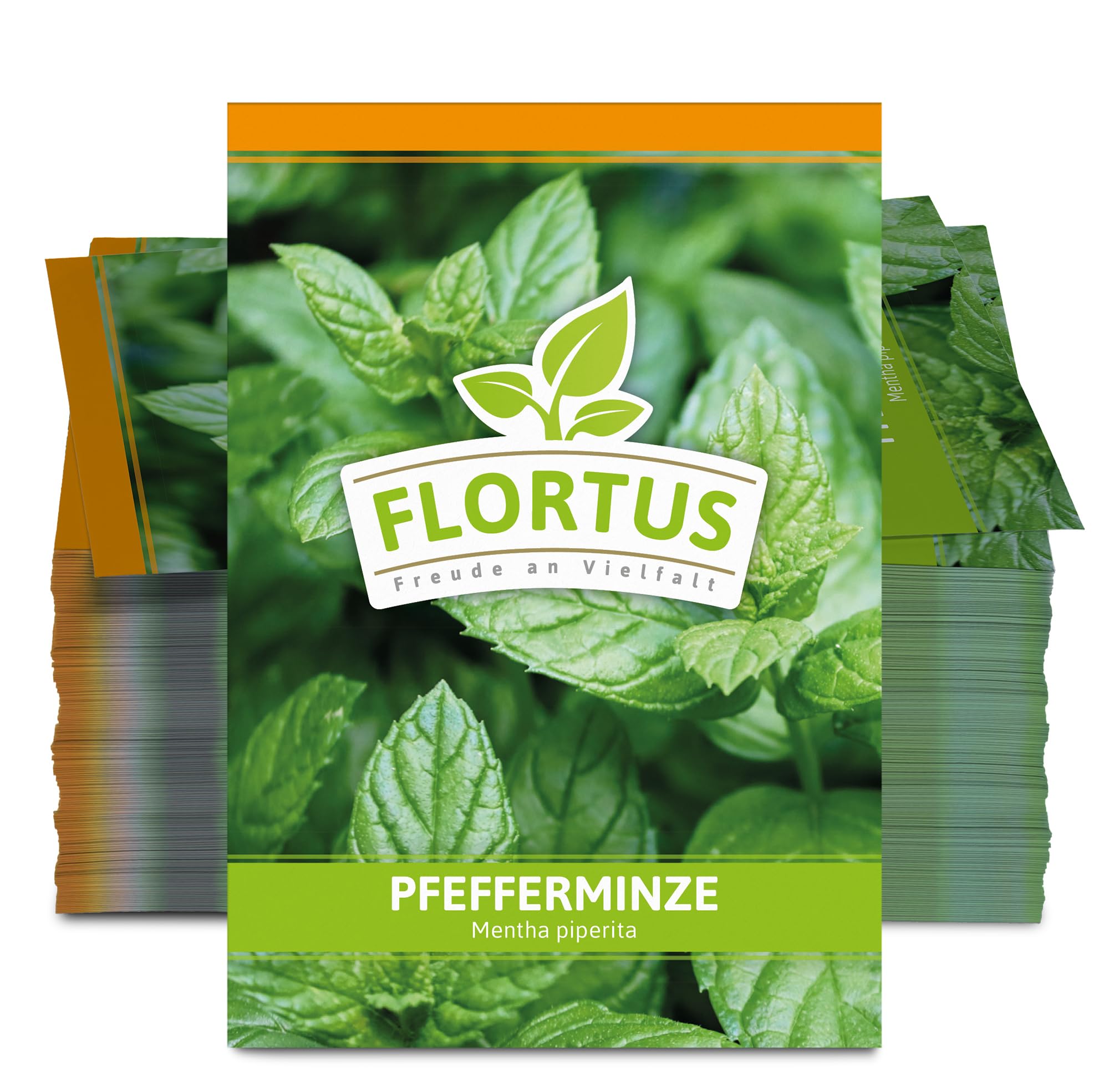 FLORTUS 2000-0047-100x Pfefferminze (100 Tütchen) (Pfefferminzsamen)