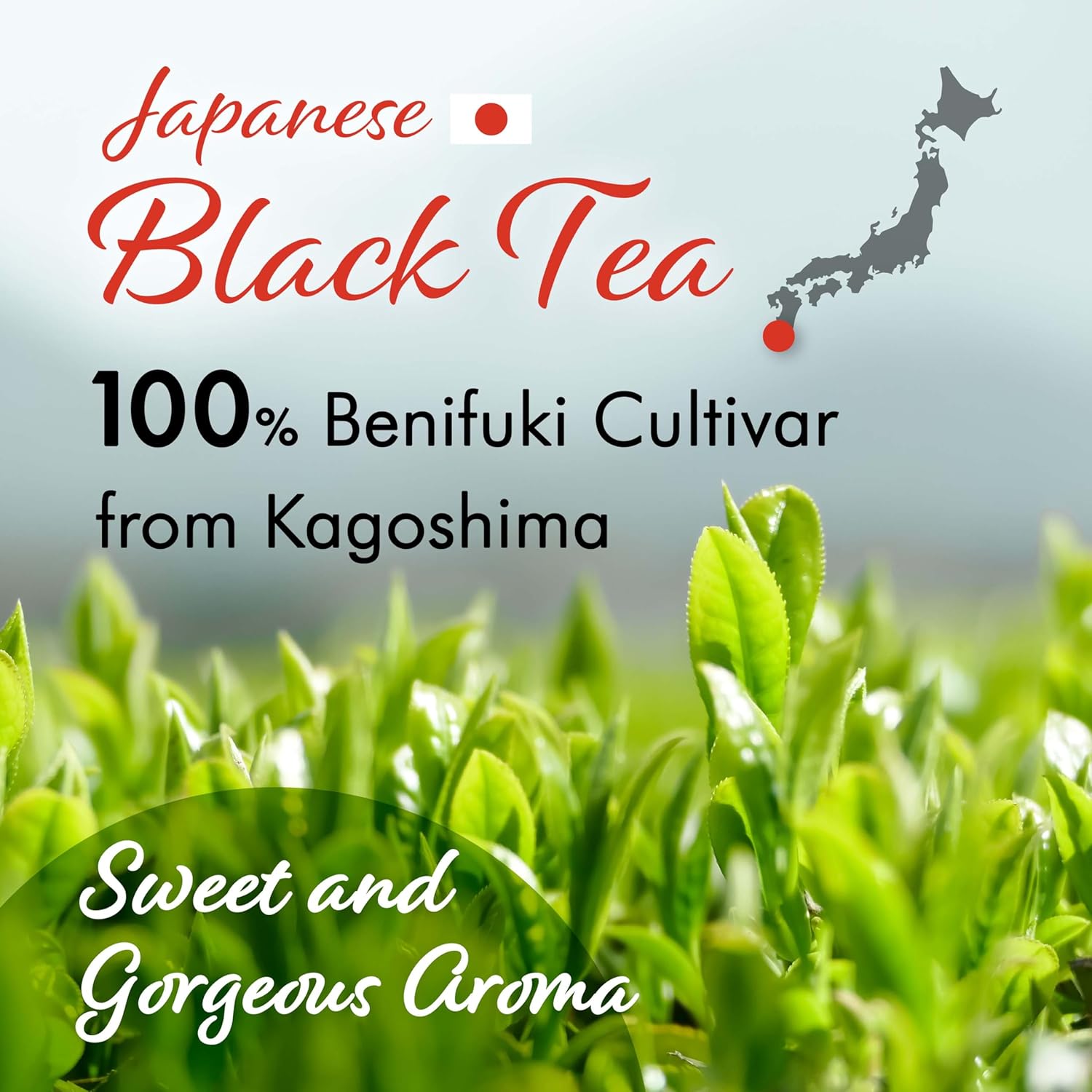 YAMASAN KYOTO UJI Sakura Black Tea Loose Leaf (80g) - Blending Benifuki and Japanese Sakura Cherry Blossom Leaves, Floral and Refreshing Wakocha