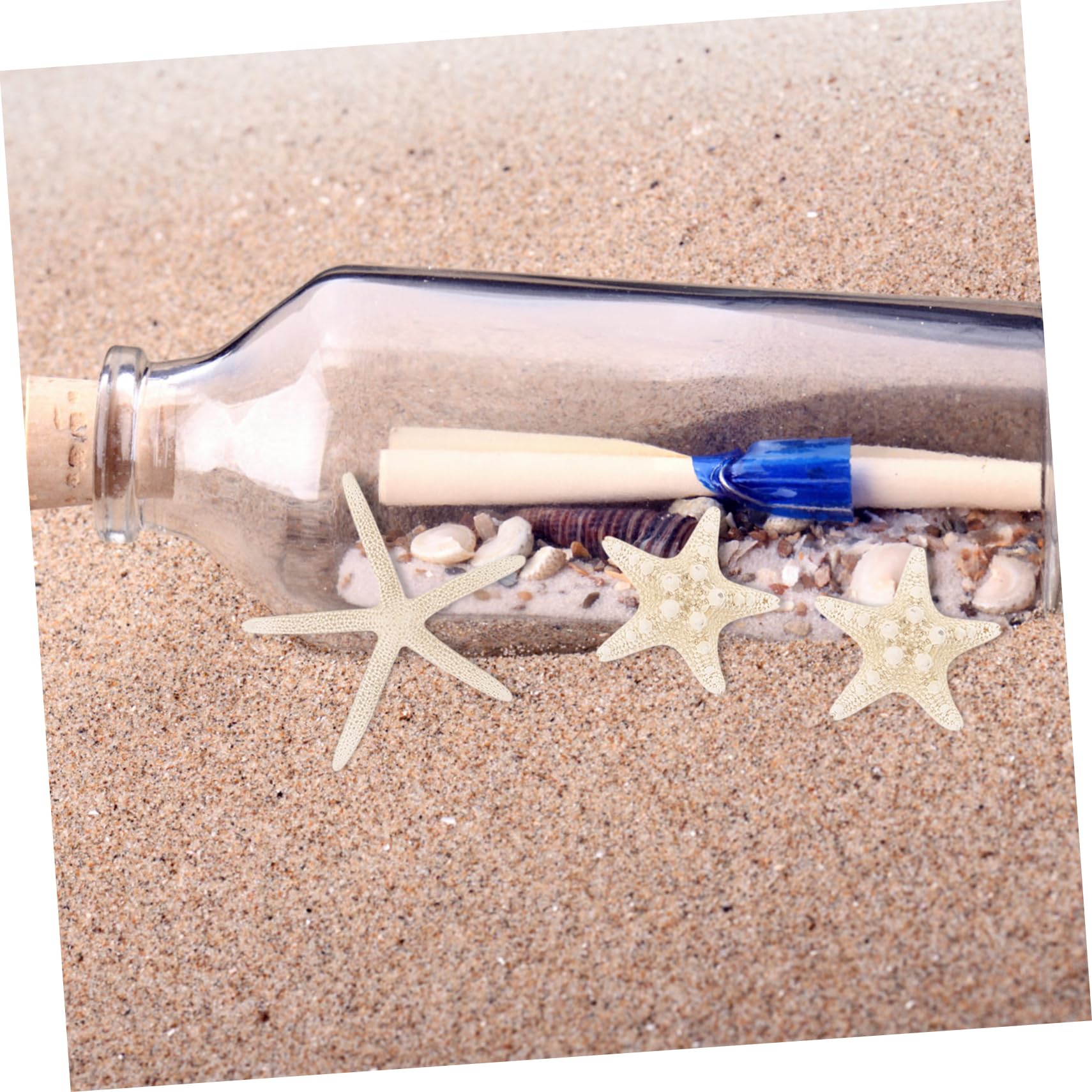 NUOBESTY 40 Piezas Botella de de Estrella de mar Concha Marina pequeña Concha de Vieira Decoración Acuario Manualidades Marinas decoración Decorativa de Estrellas de mar