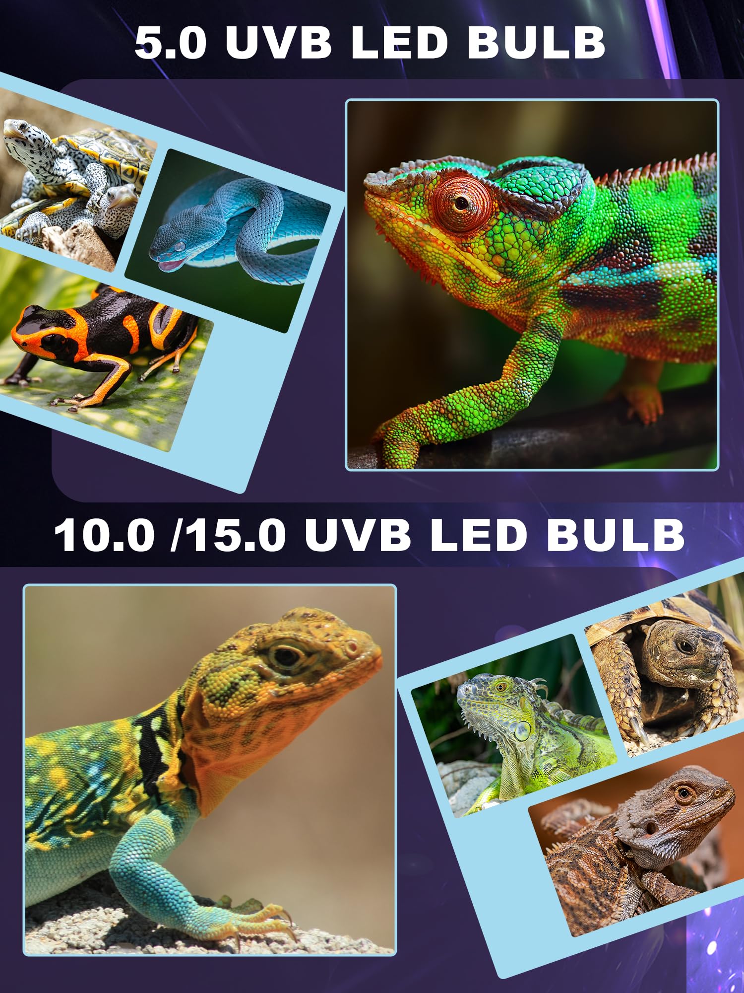 Luce LED UVB per rettili, 5 W 5.0 LED UVA UVB, lampadina UVB per rettili drago barbuto, lucertola, geco, serpente, tartaruga, fornisce sufficiente esposizione UVB tropicale e rettili del