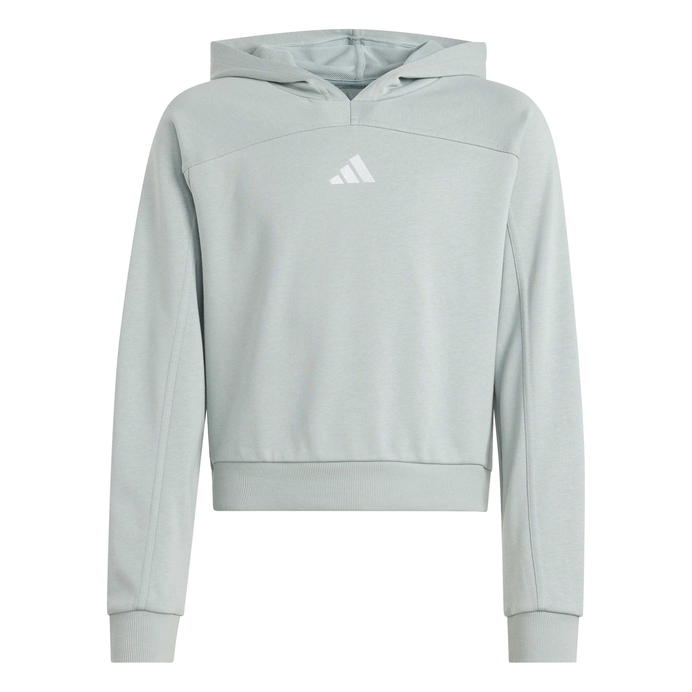 adidas Girl's Junior Girl Holiday Glam Cropped Sweatshirt, Wonder Sage/silver met., 14-15 Years