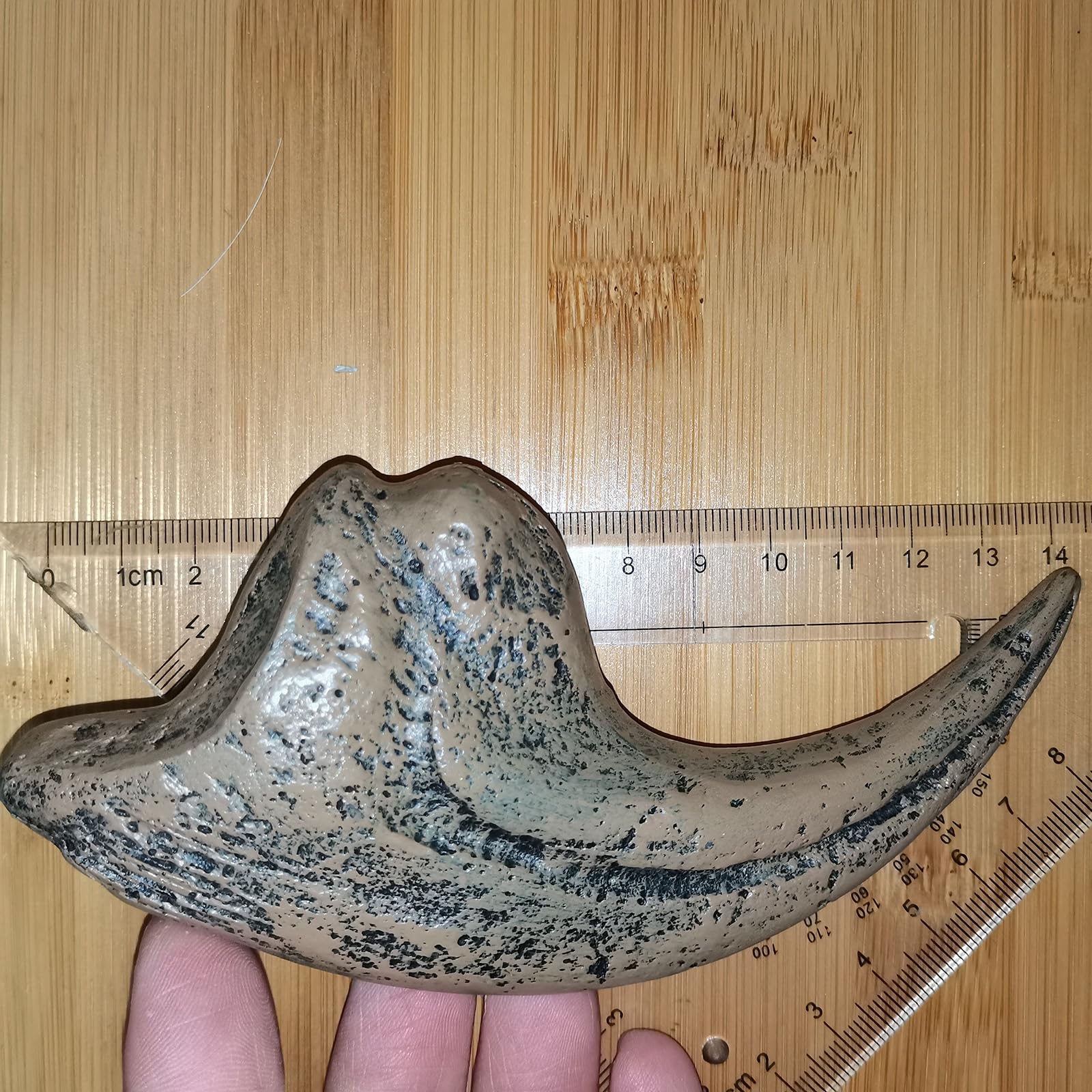Velociraptor Dinosaurio Tamaño Natural Garra Fósil Réplica Dinosaurio Réplica Fósil Decoración para Casa Oficina Decoración Artesanía Enseñanza Prop